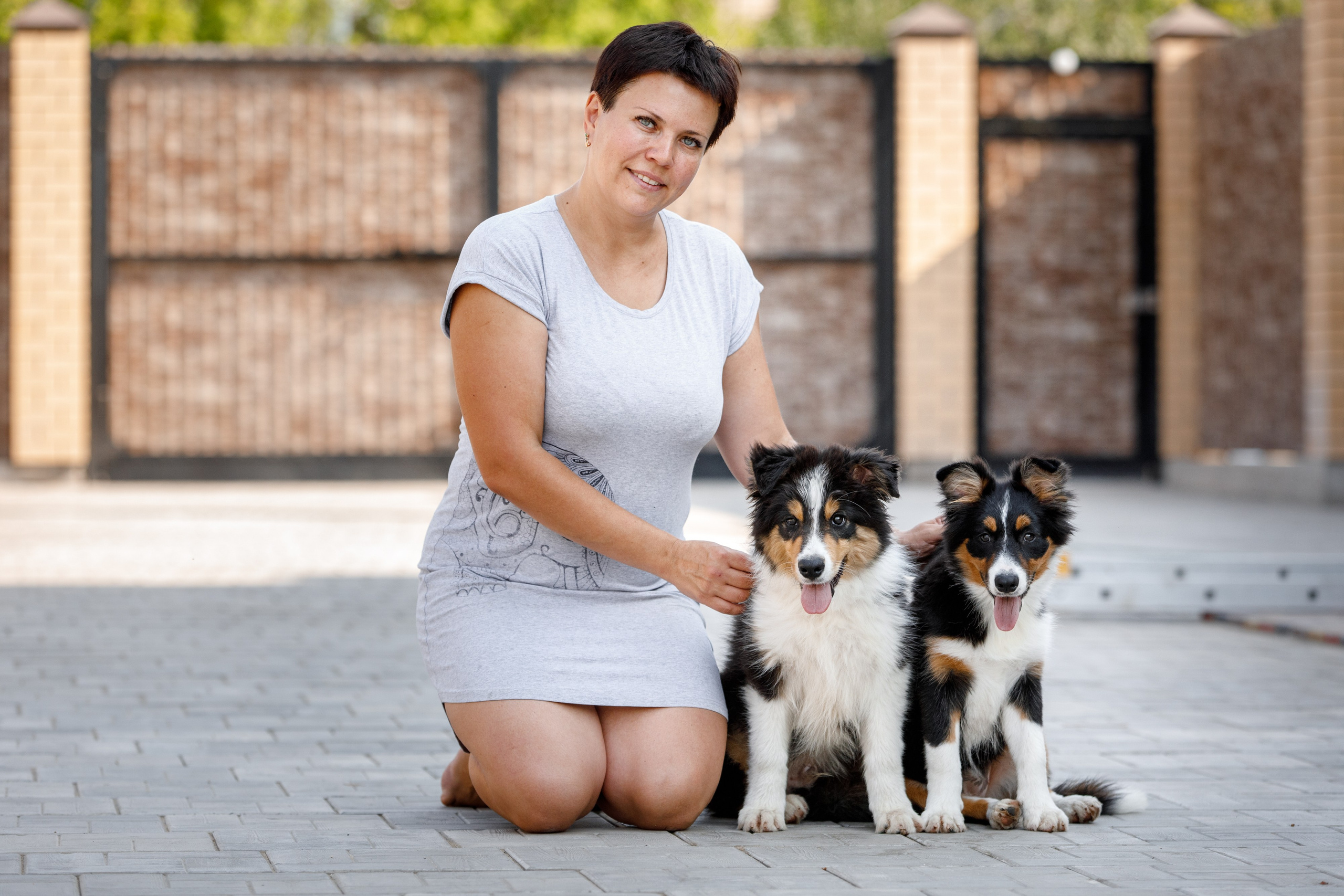 Смешарики. О нас