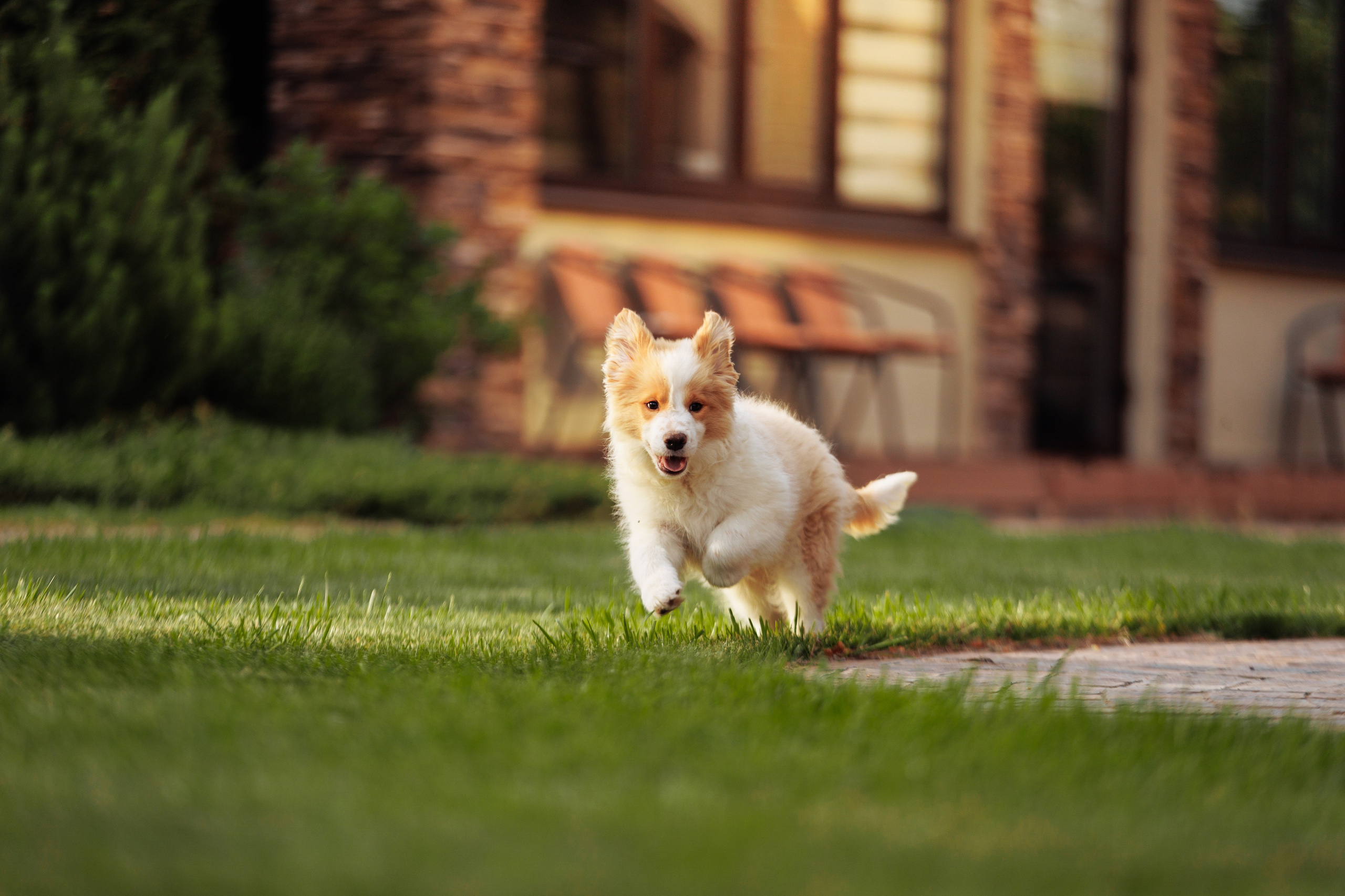 СОлнечные. О нас