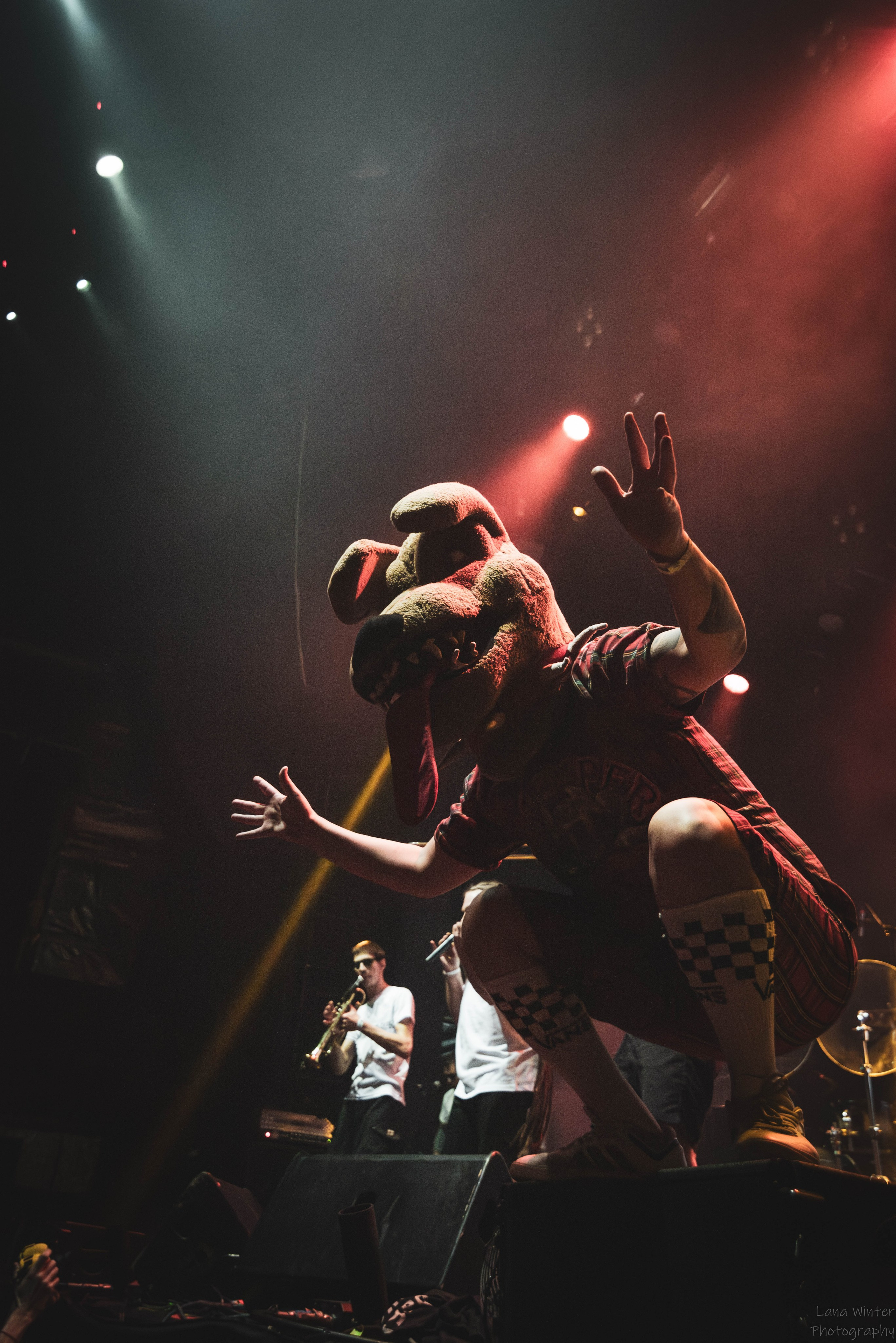 Distemper (4 января 2026 года, Москва, клуб Base). Фотограф Светлана Блинова, Москва и Московская область