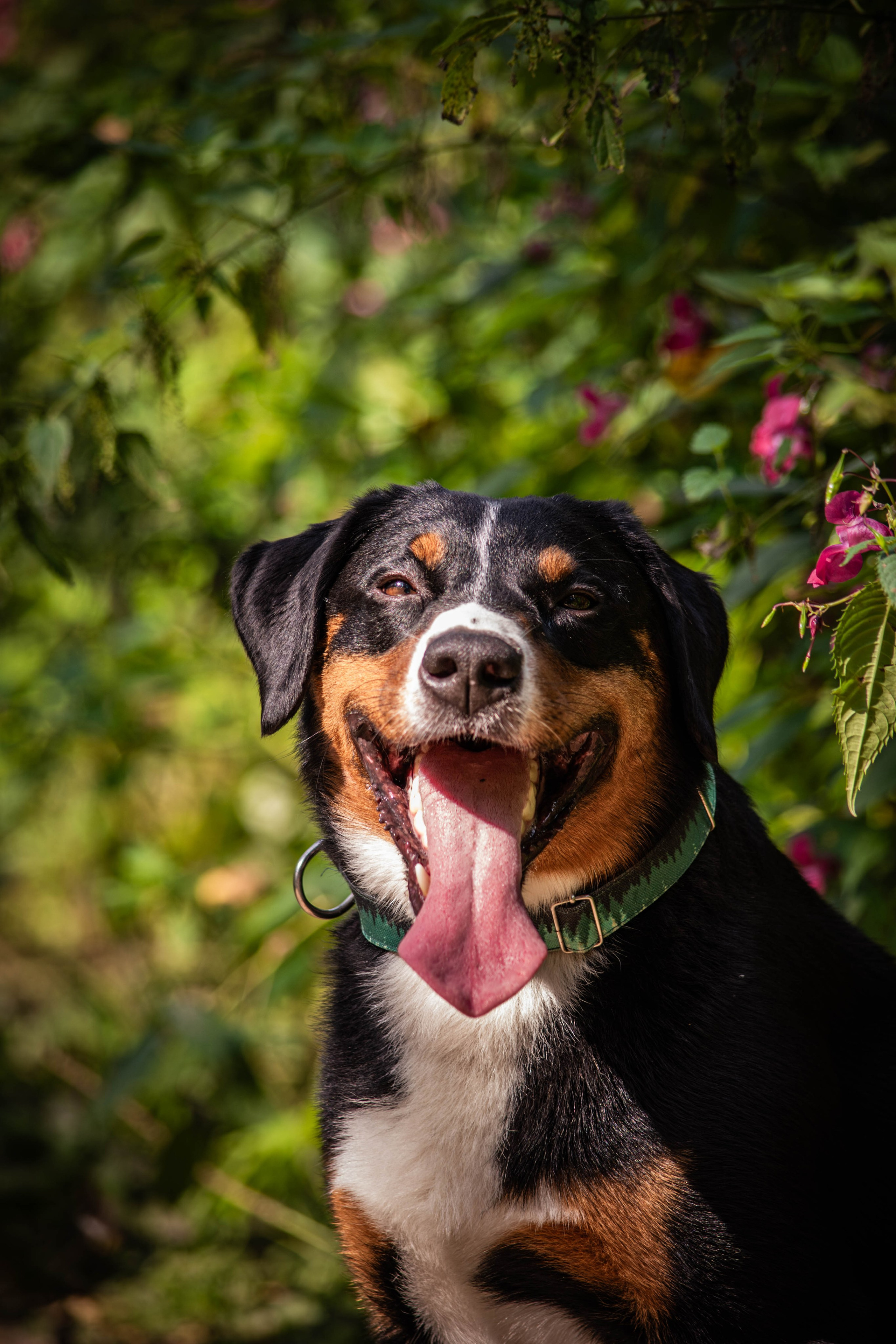 Микки и Юля. Фотограф Светлана Блинова, Москва и Московская область