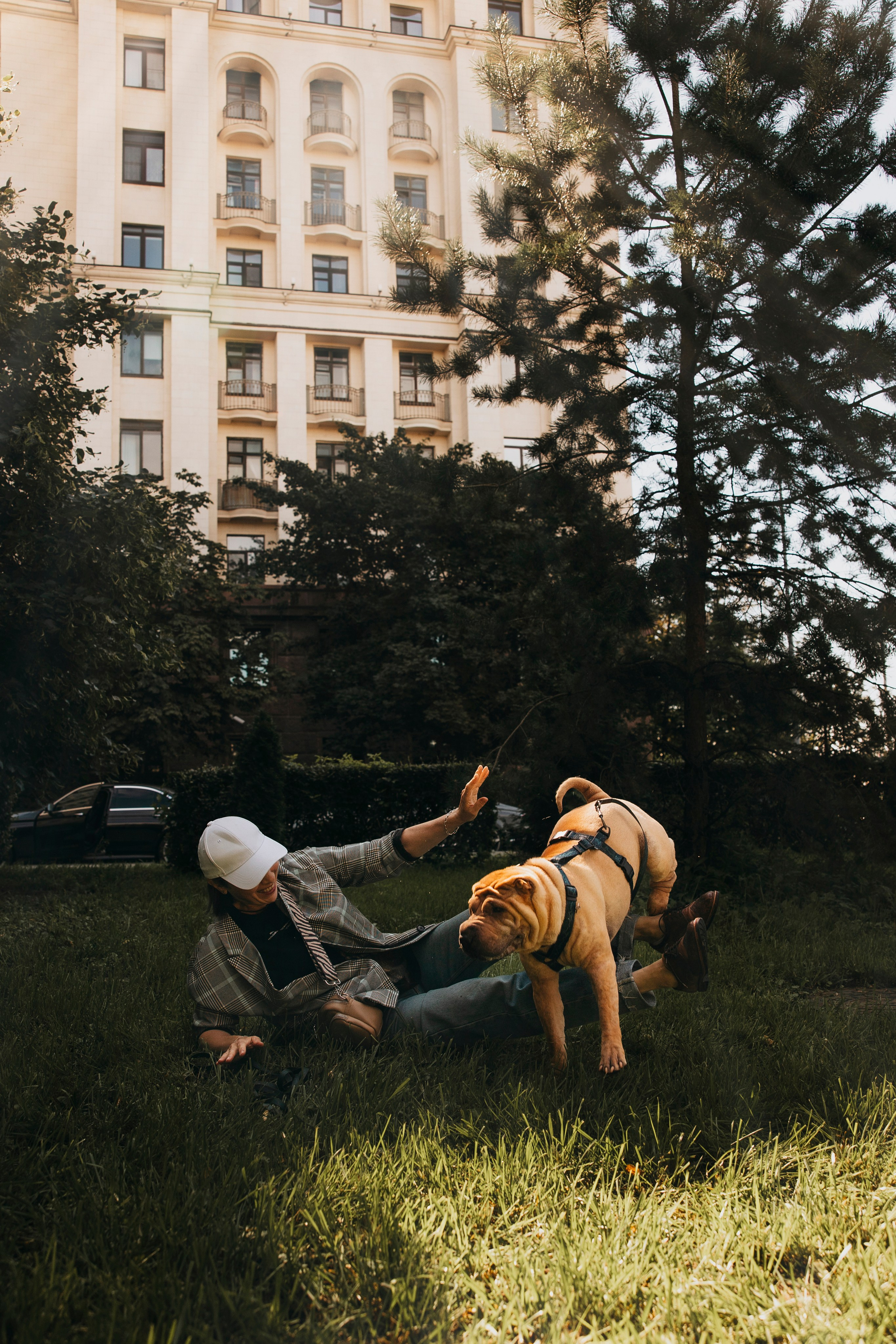 Аппа и его семья. Анастасия Белаш