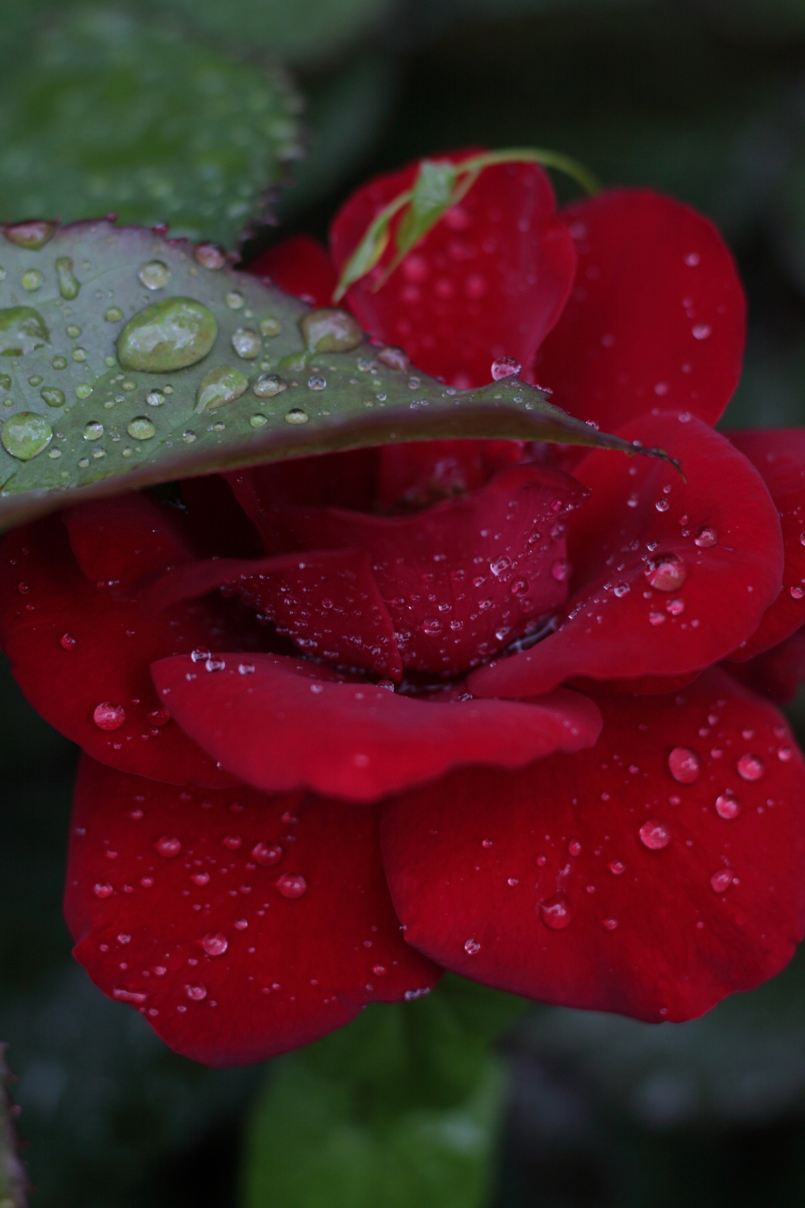 Старое природное, отбирала Katamount (Катерина Горохова). Главная