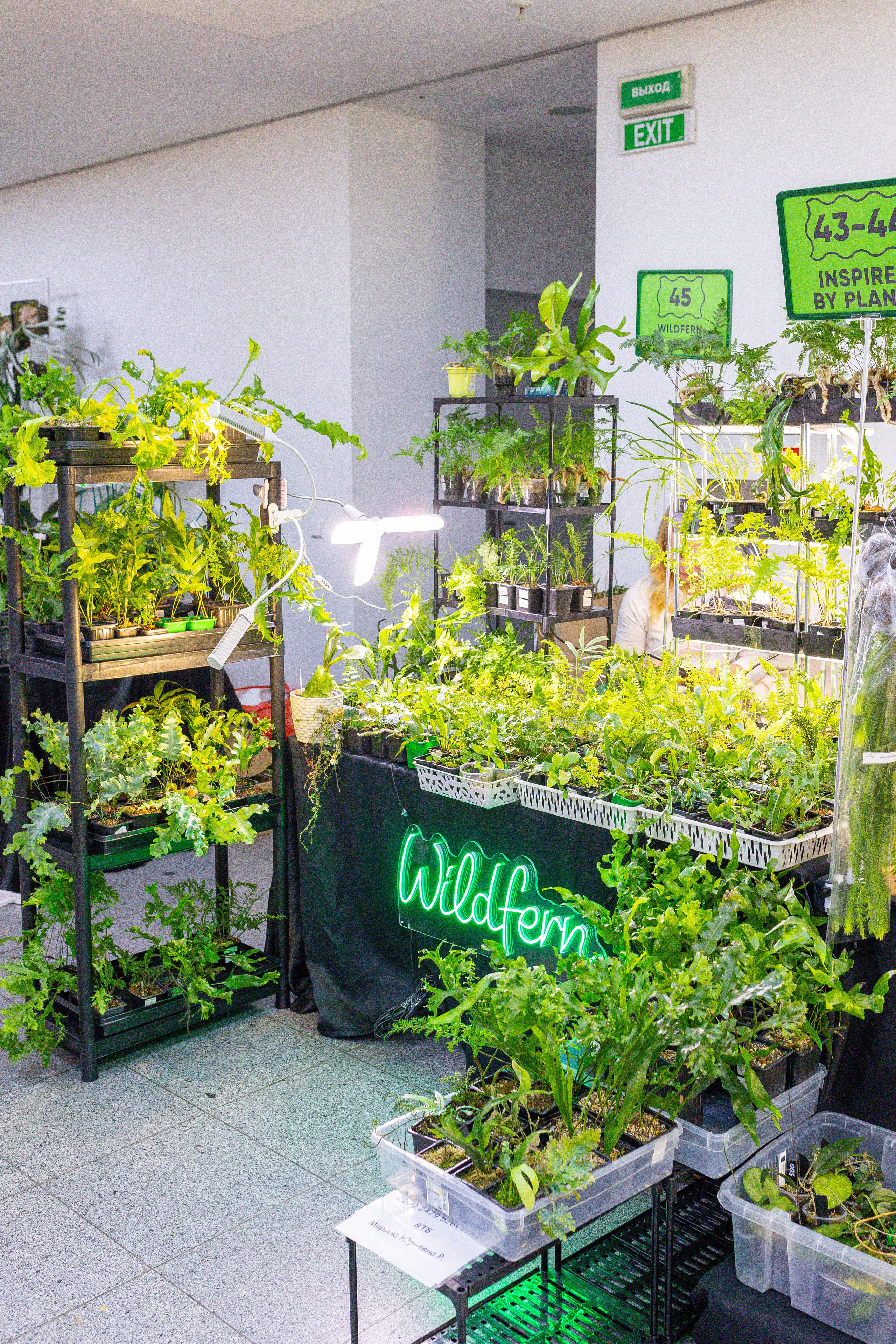 Монстериум 11–12 октября. Александра Куликова фотограф, Москва