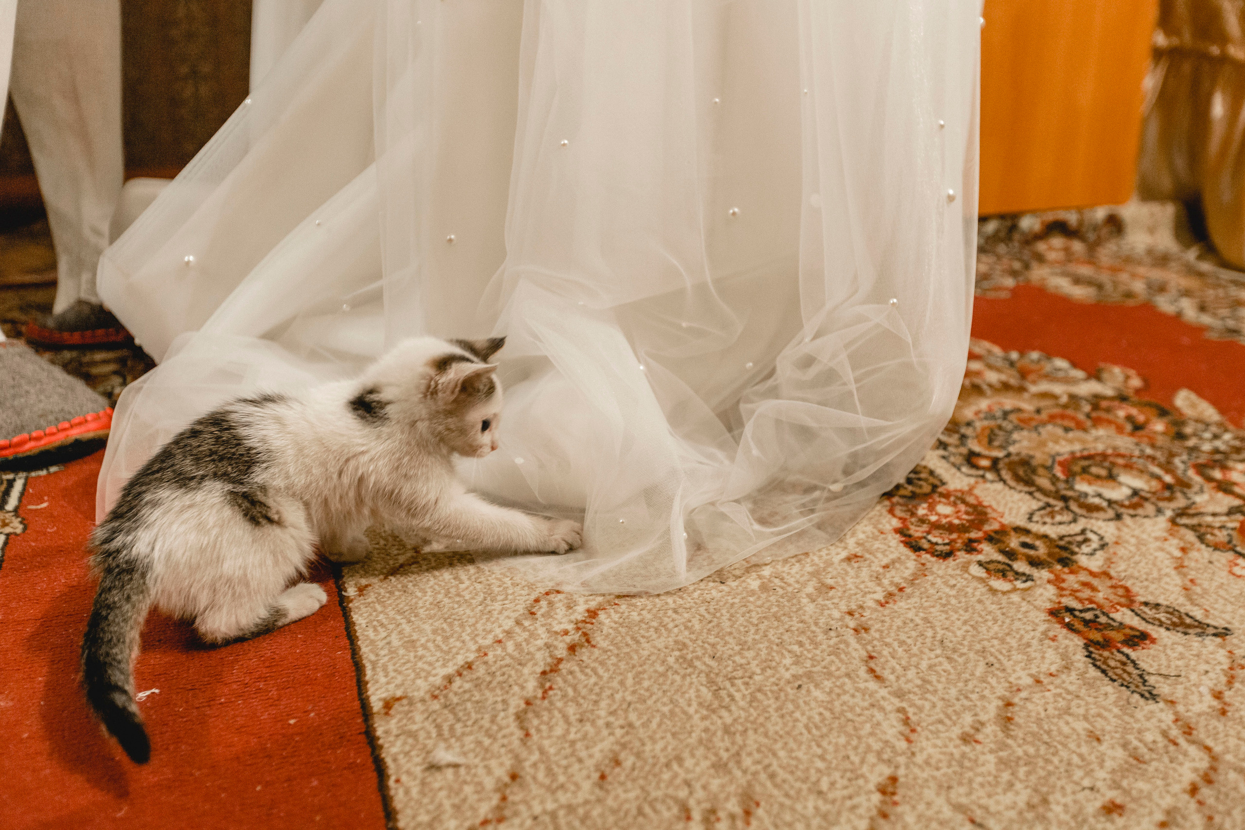 Дойур и Алёна. Свадебный фотограф в Кызыле Ай-Херел Ондар