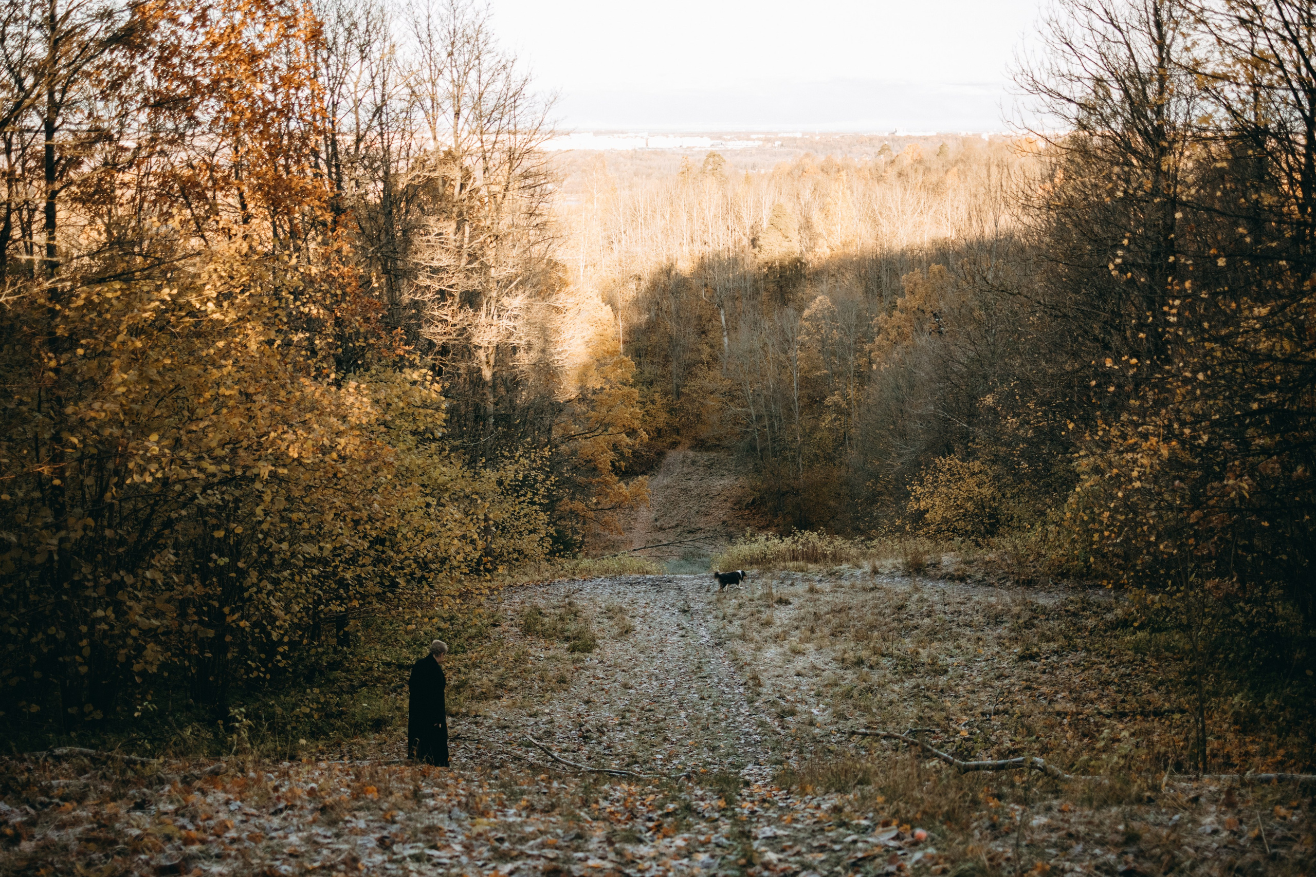 Ия и Барт. Фотограф — Анималист | Санкт-Петербург