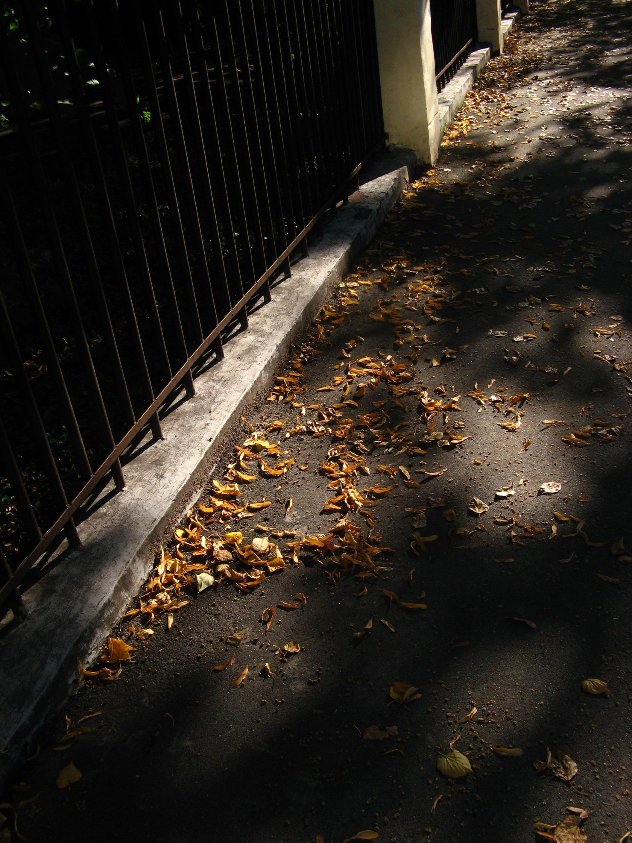 Сентябрь 2025. Den Mirov — Фотограф, Музыкант