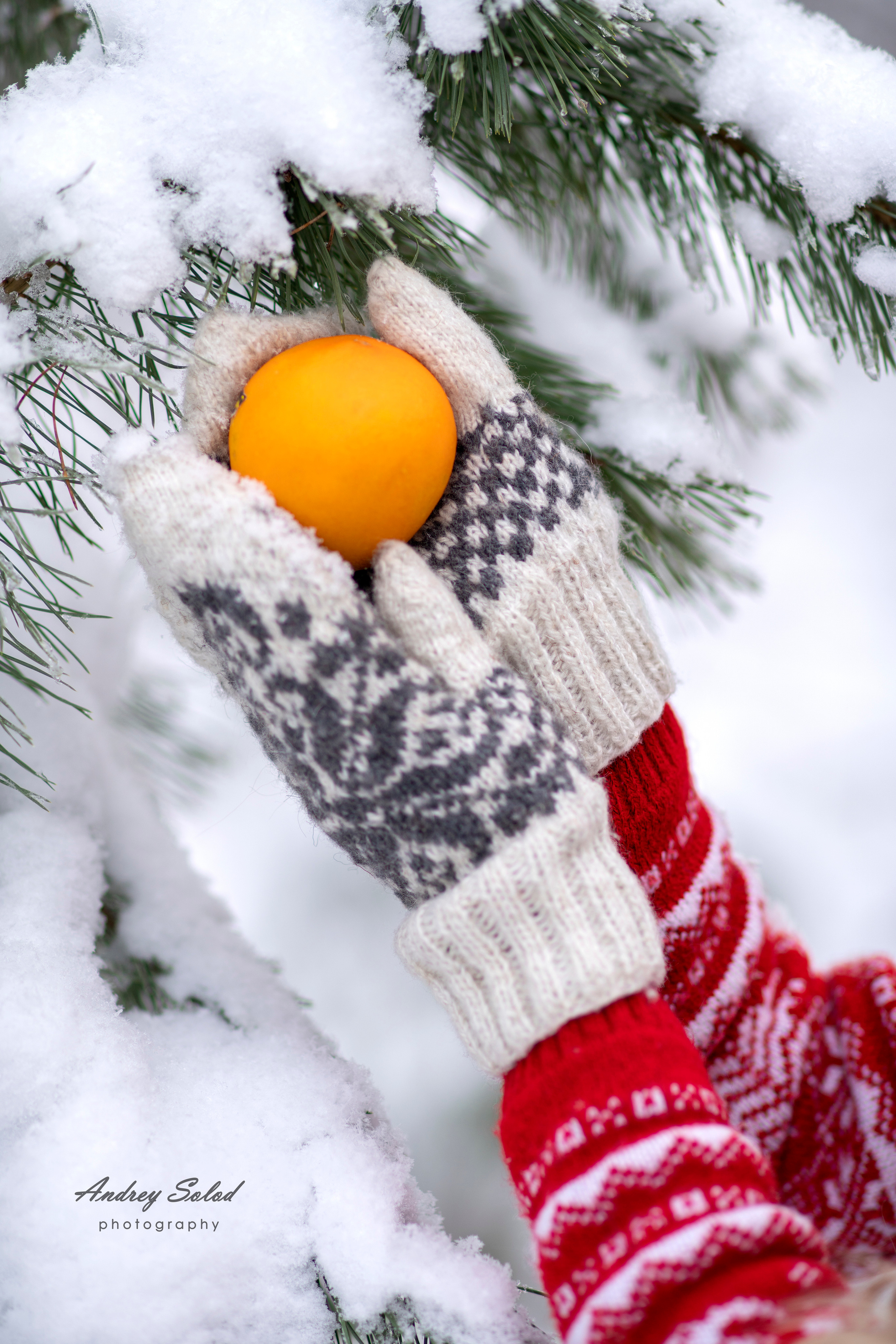 Алёна Миронова. Зима 2022. Фотограф Андрей Солод