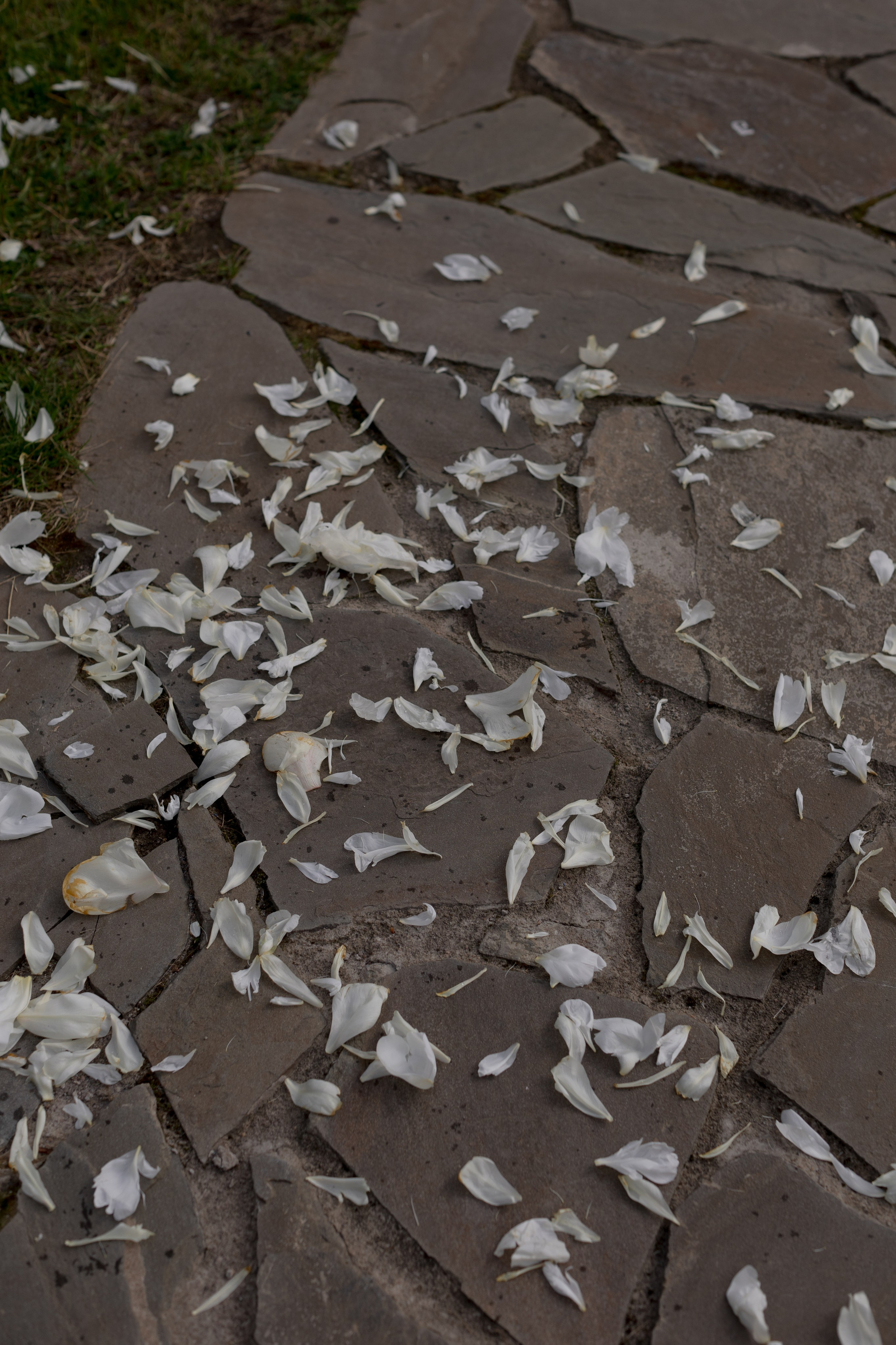 Сергей и Татьяна: цветочная летняя свадьба для близких. @dariazphoto свадебный фотограф