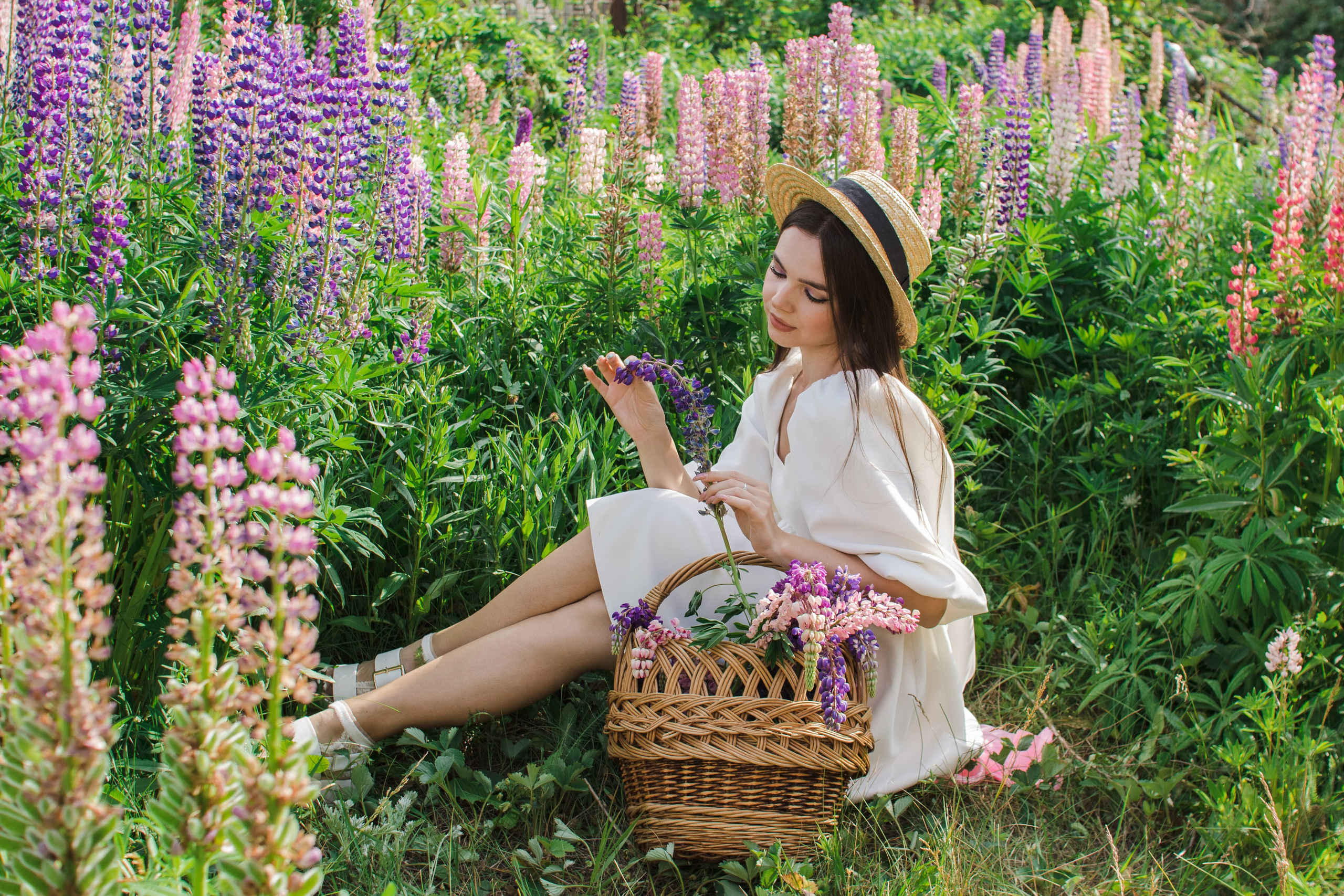 Девушках в люпинах