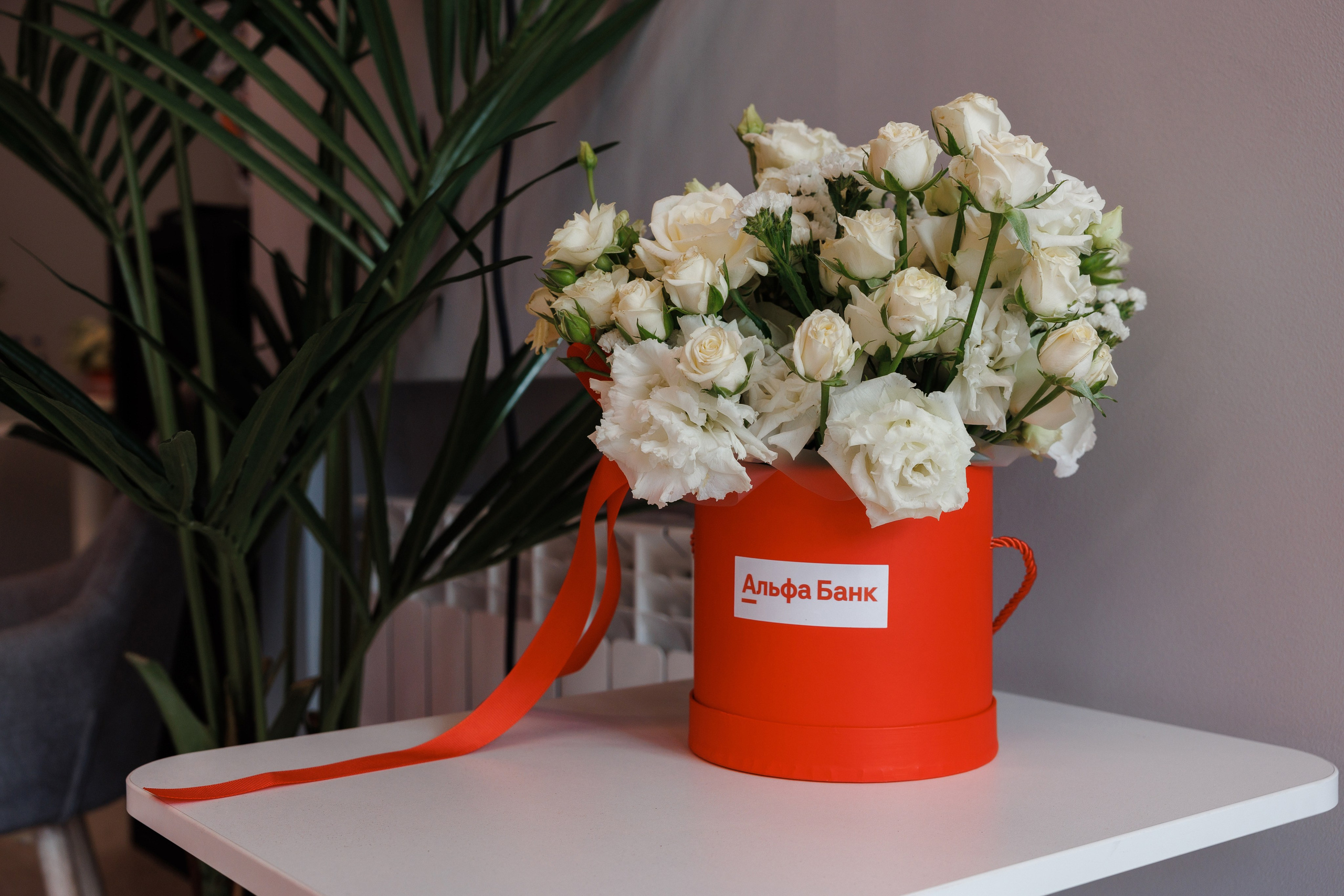 Альфа Банк Нальчик. Фотограф Ставрополь Петр Голубенко