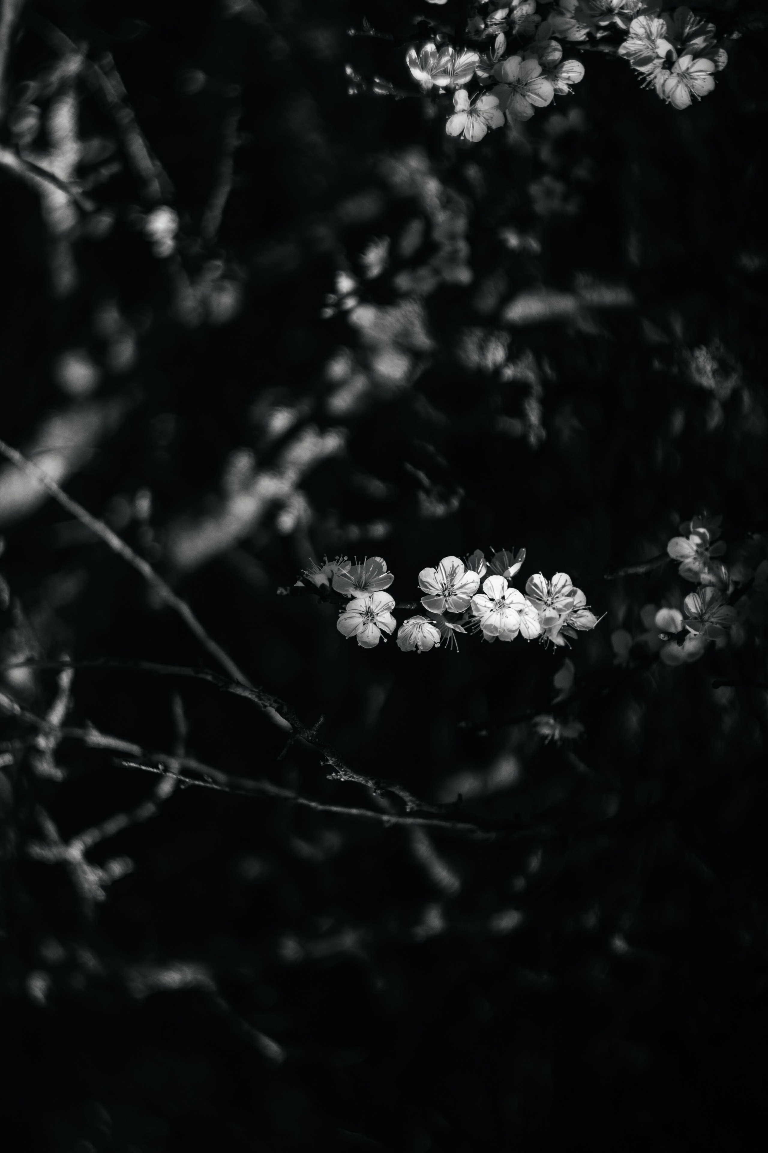 Helios. Photographer Mary Matveenko