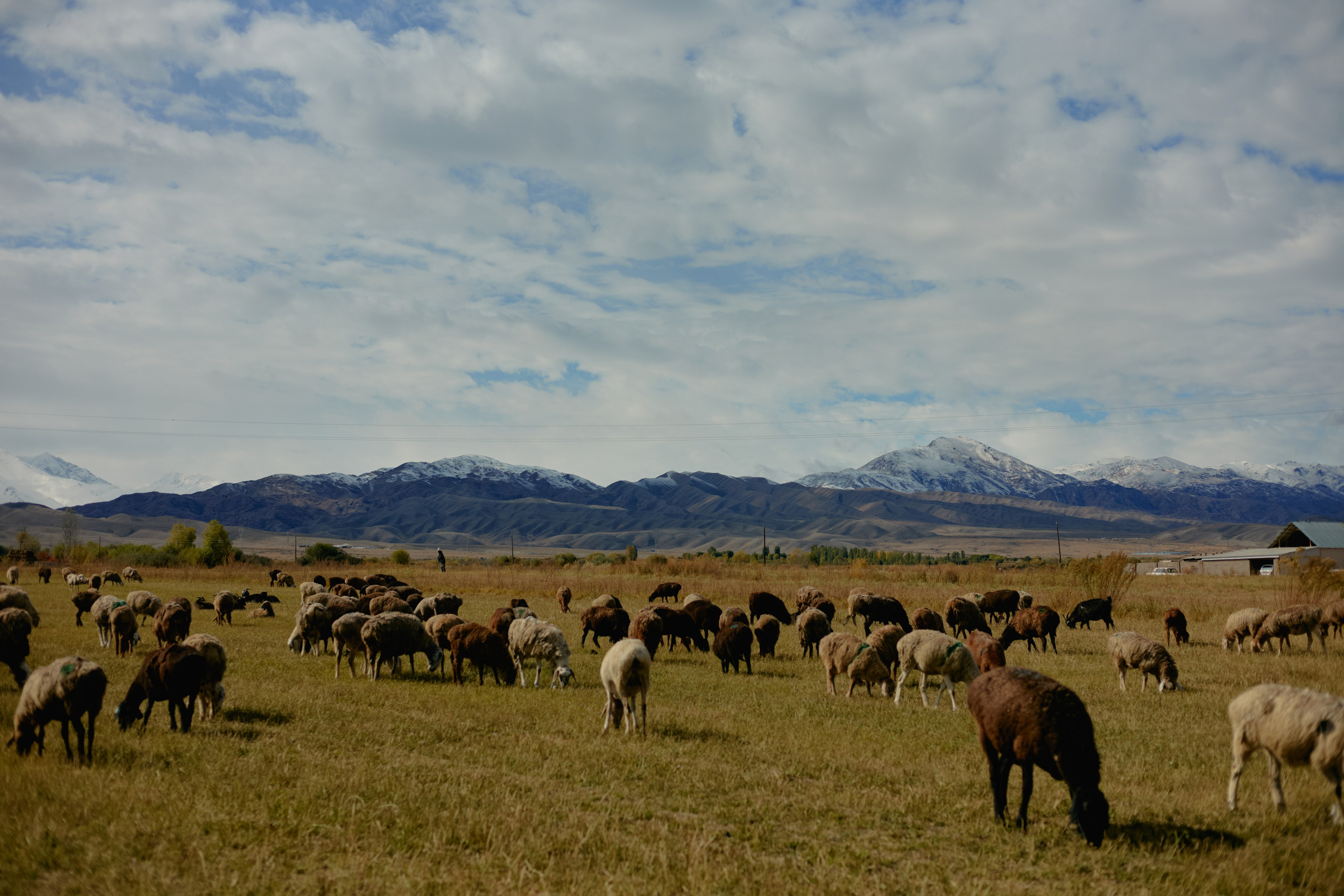 Кыргызтан. Профессиональный Фотограф во Владимире, в Москве и в Суздале — Полина Романычева