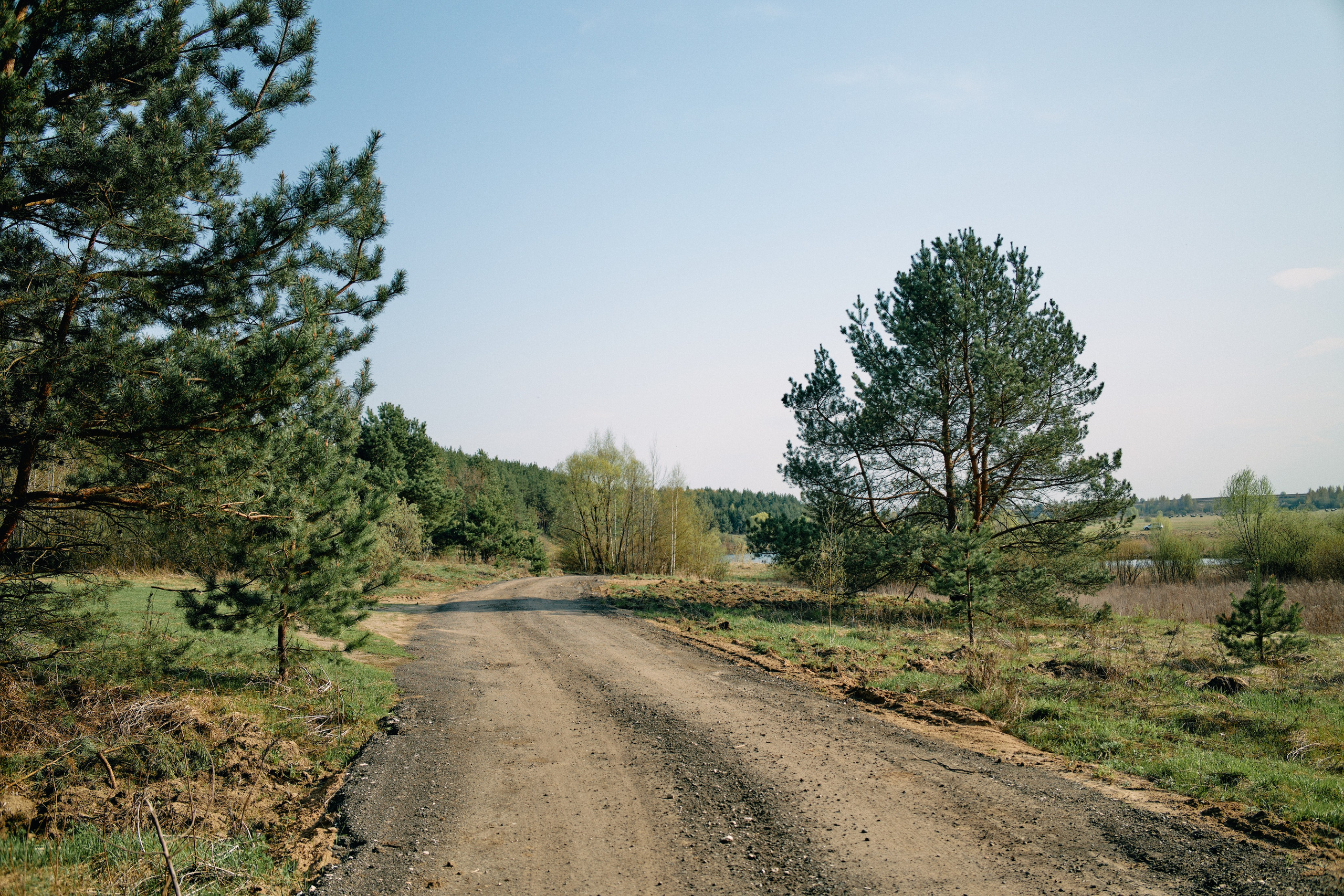Бутик-отель Поле летом. Профессиональный Фотограф во Владимире, в Москве и в Суздале — Полина Романычева