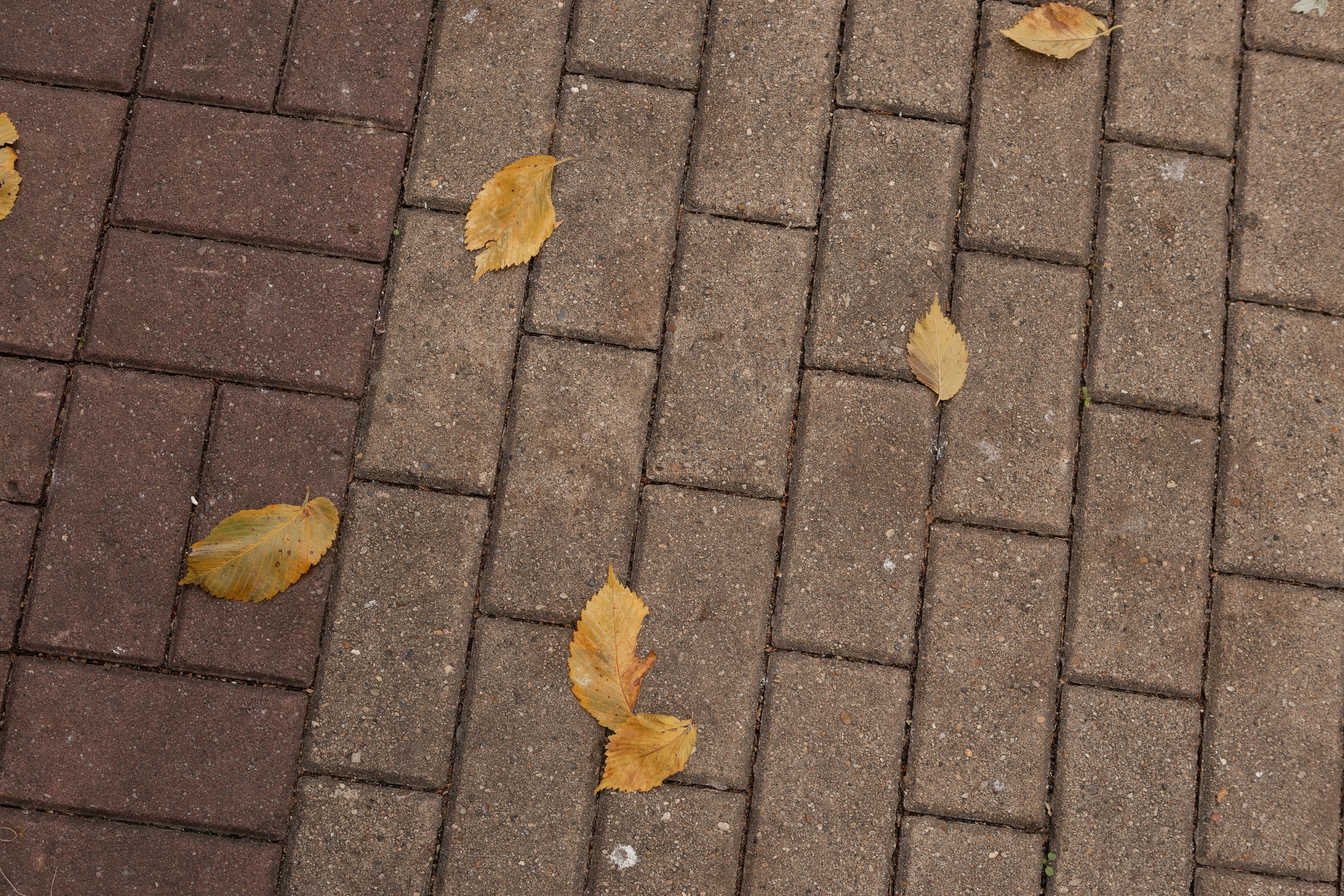 Влад и Ира. Свадебный фотограф в Воронеже Вероника Богай