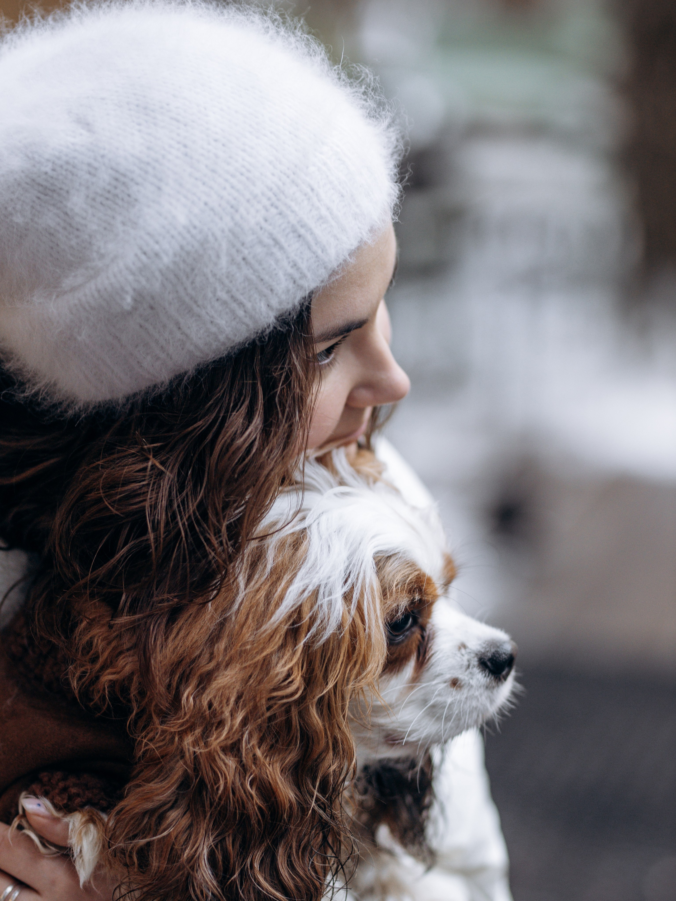 Дарси и Маша. Фотограф-анималист в Москве Кириллова Татьяна