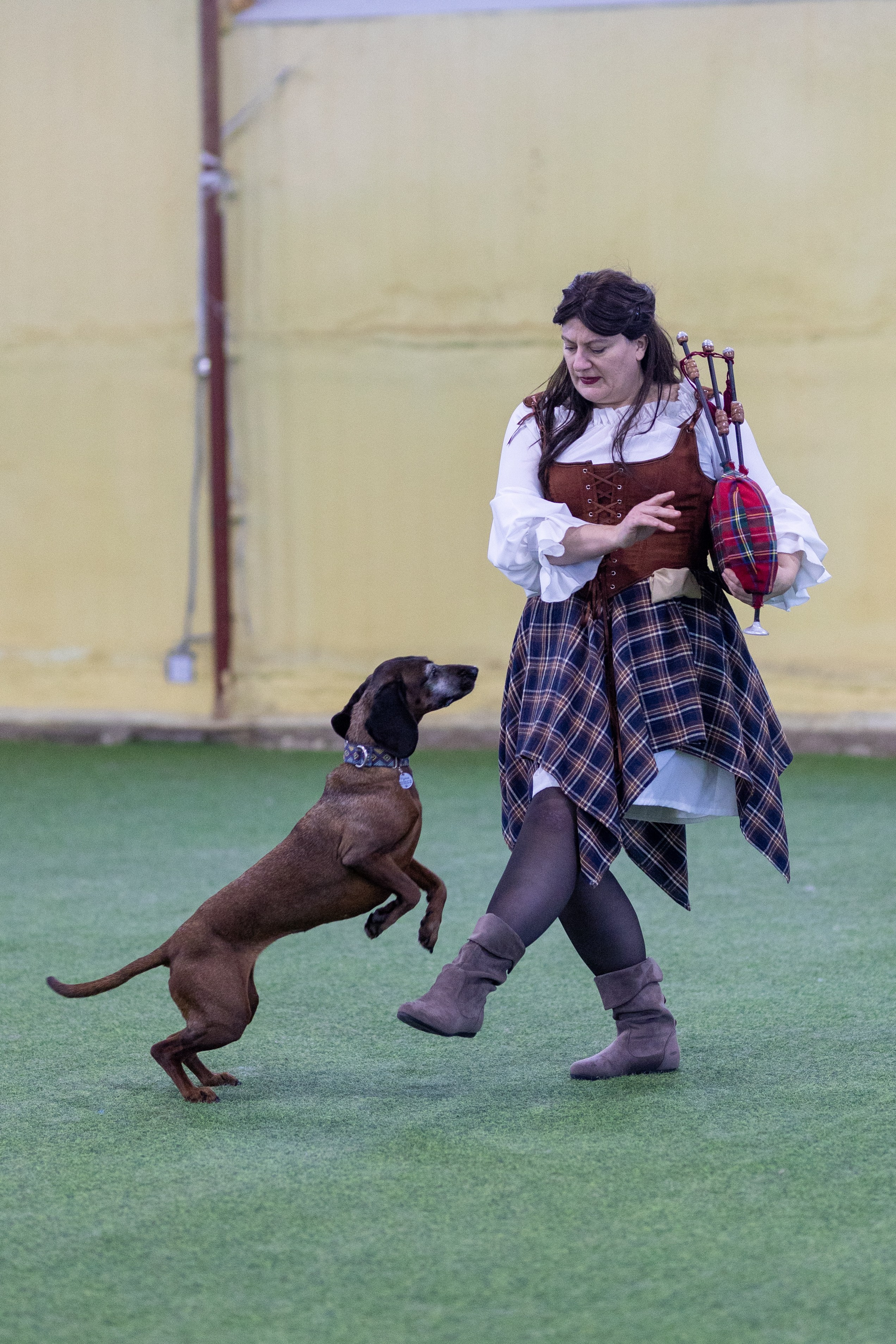 Соревнования танцы. Фотограф-анималист в Москве Кириллова Татьяна