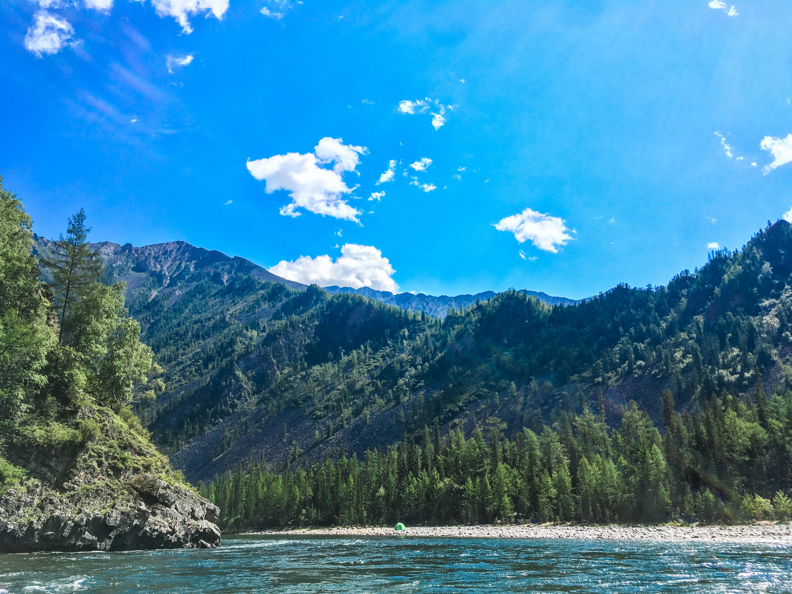 Природа. Главная