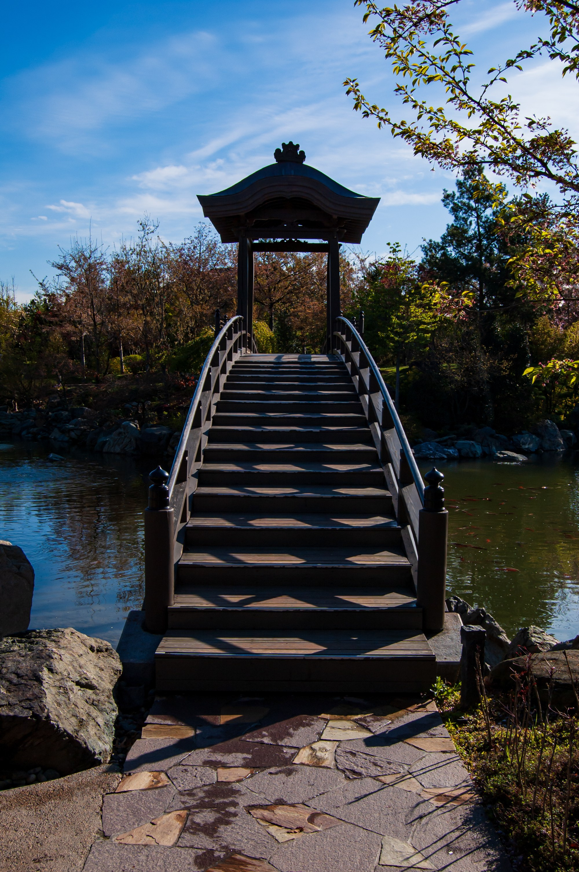 Фотосессия эстетики Японского сада в Краснодаре. Портретный фотограф в Краснодаре Слава Никитин