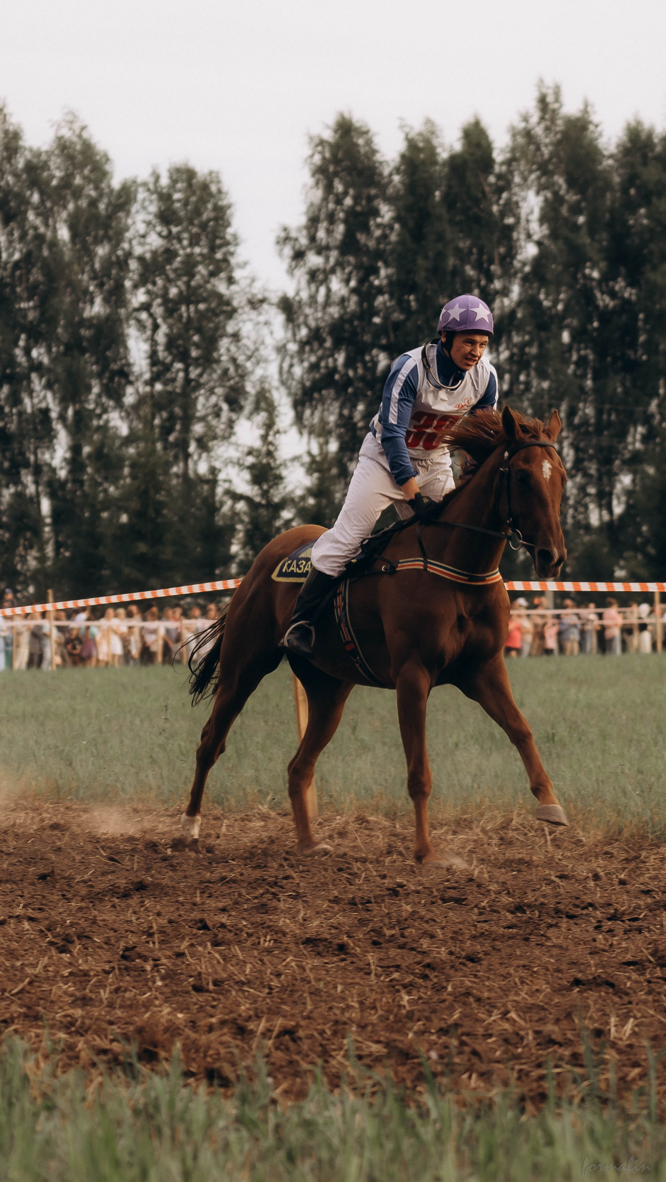 День Коня. Алиса Никитцова | Фотограф в Казани