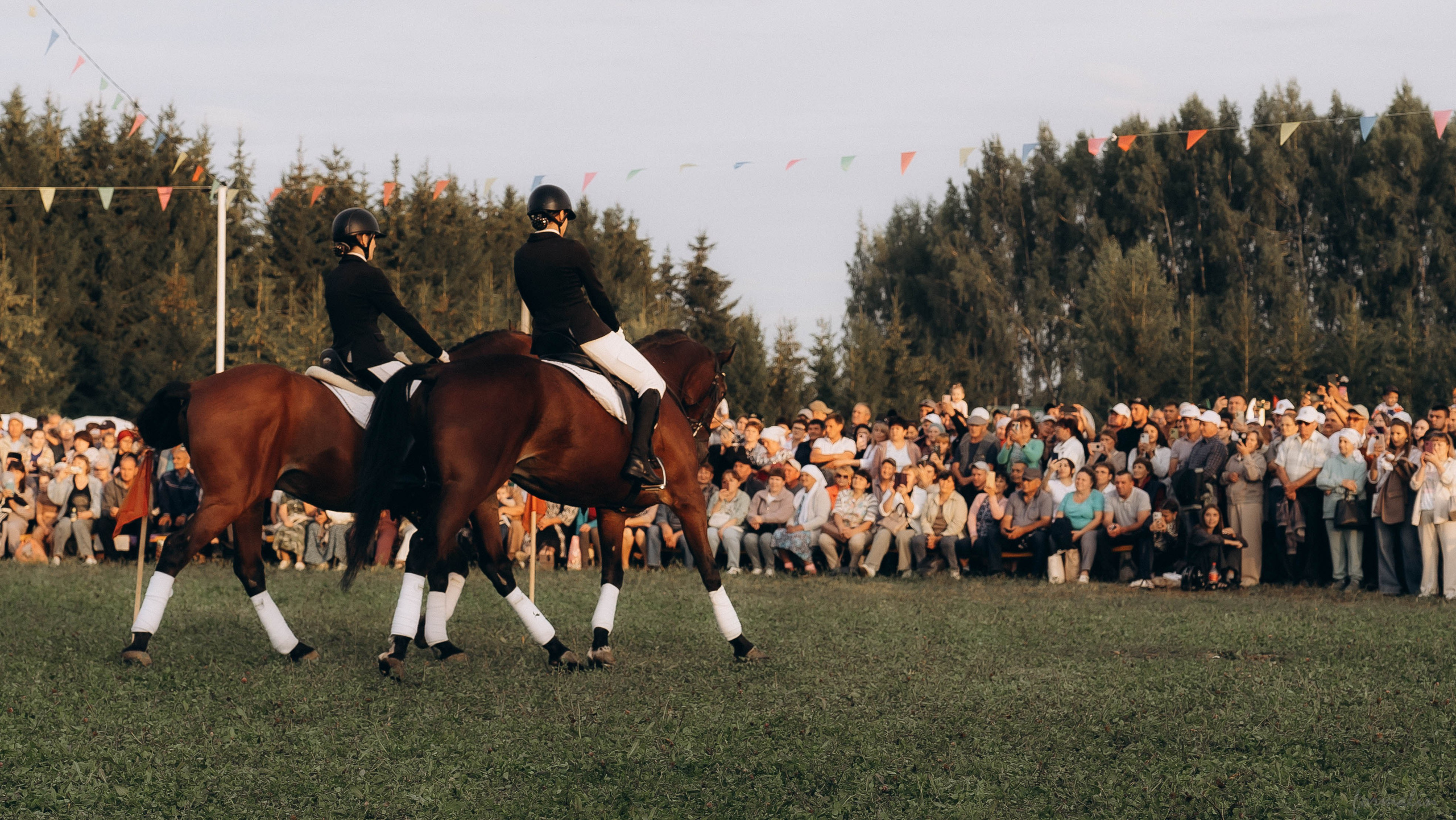 День Коня. Алиса Никитцова | Фотограф в Казани