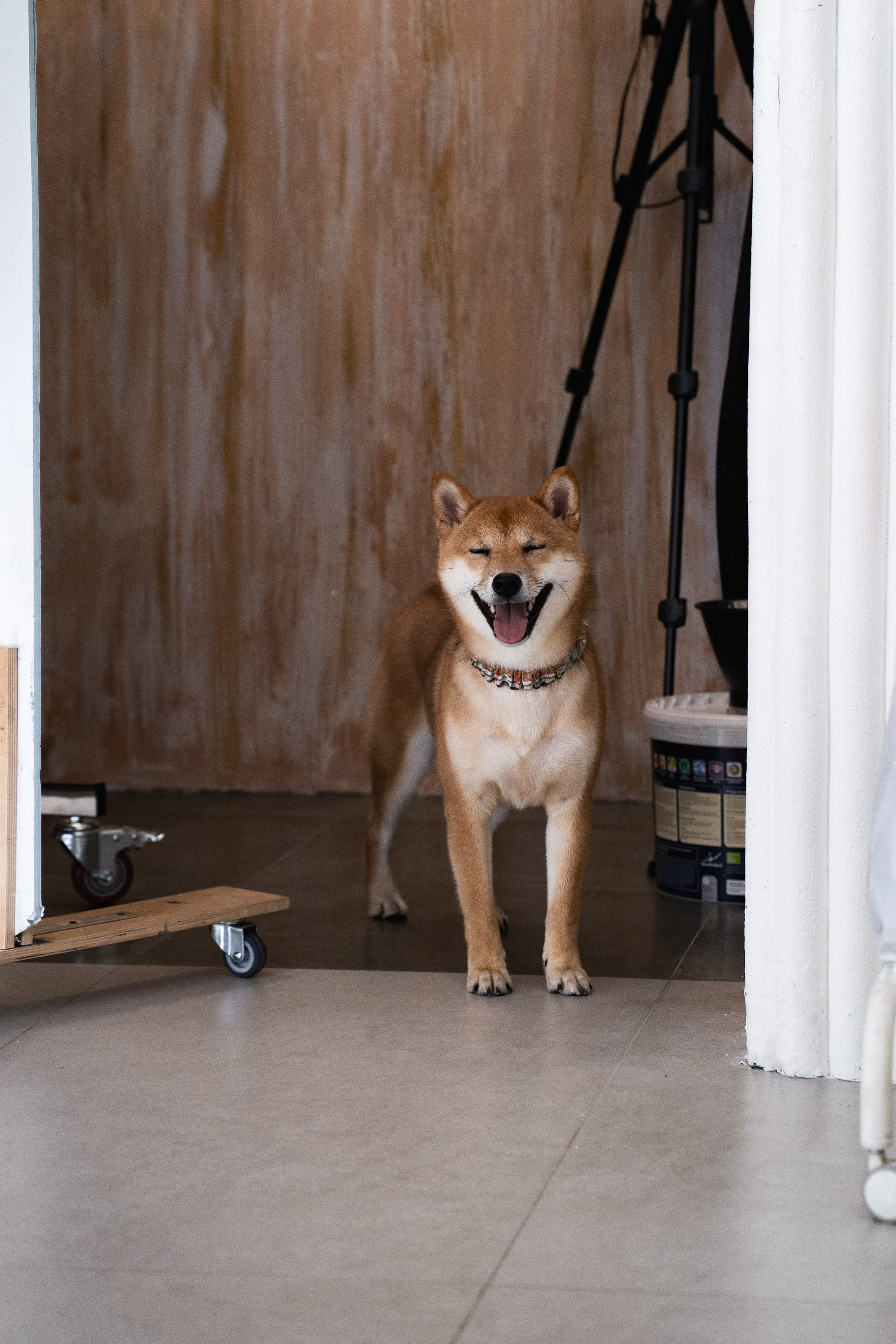 George and Arthas. Rezyame