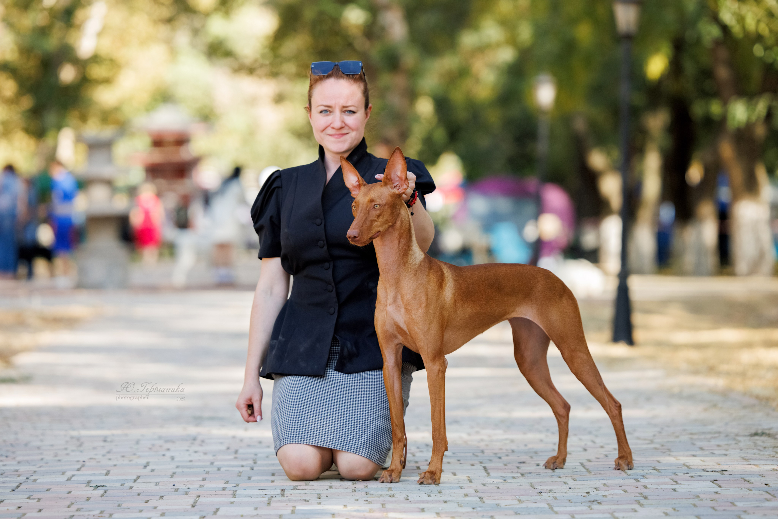 Ташкент 3хCACIB 3-5.10.2025. Фотограф-анималист Юлия Германика
