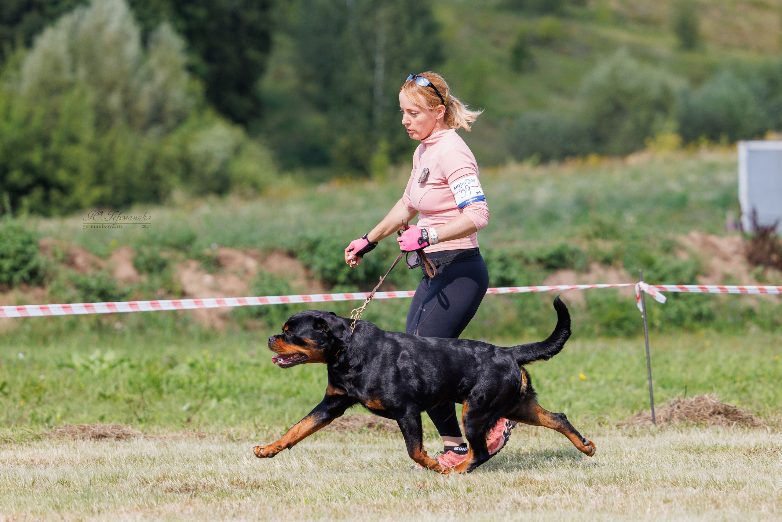 Рязань-Ховрино 10-11.08.2024 3хмоно ротвейлеров. Фотограф-анималист Юлия Германика