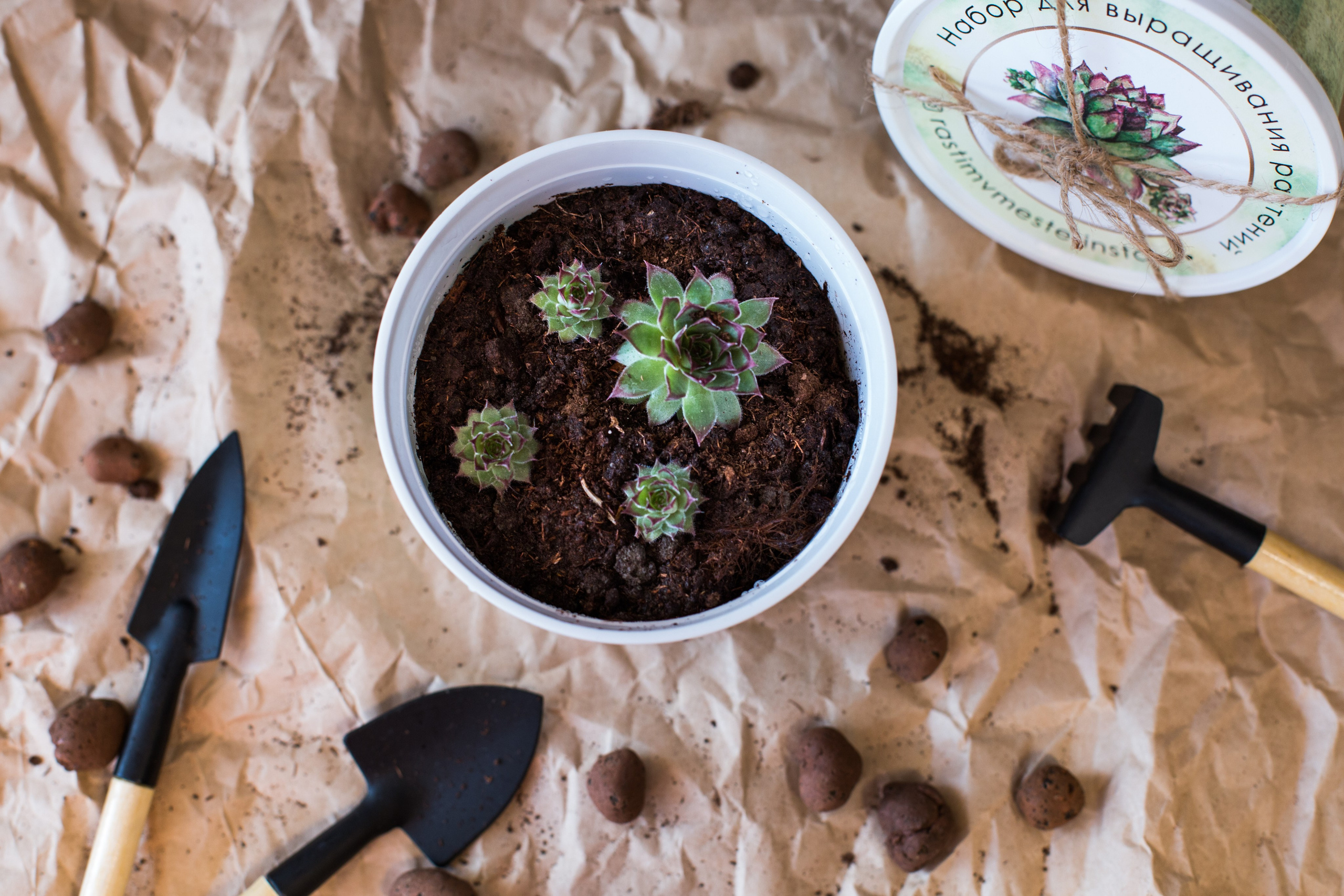 Растим вместе. Главная