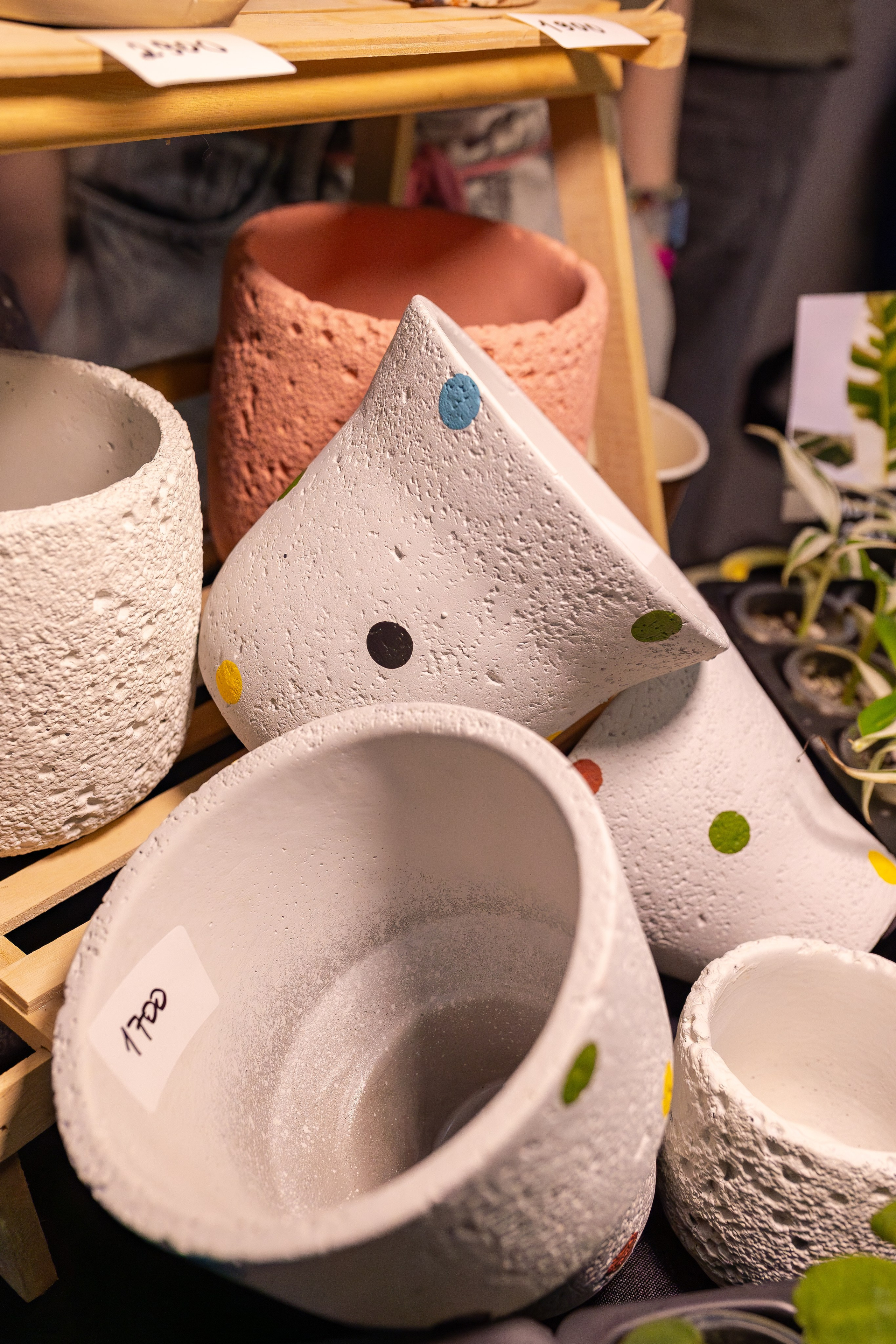 Монстериум апрель 2026. Александра Куликова фотограф, Москва