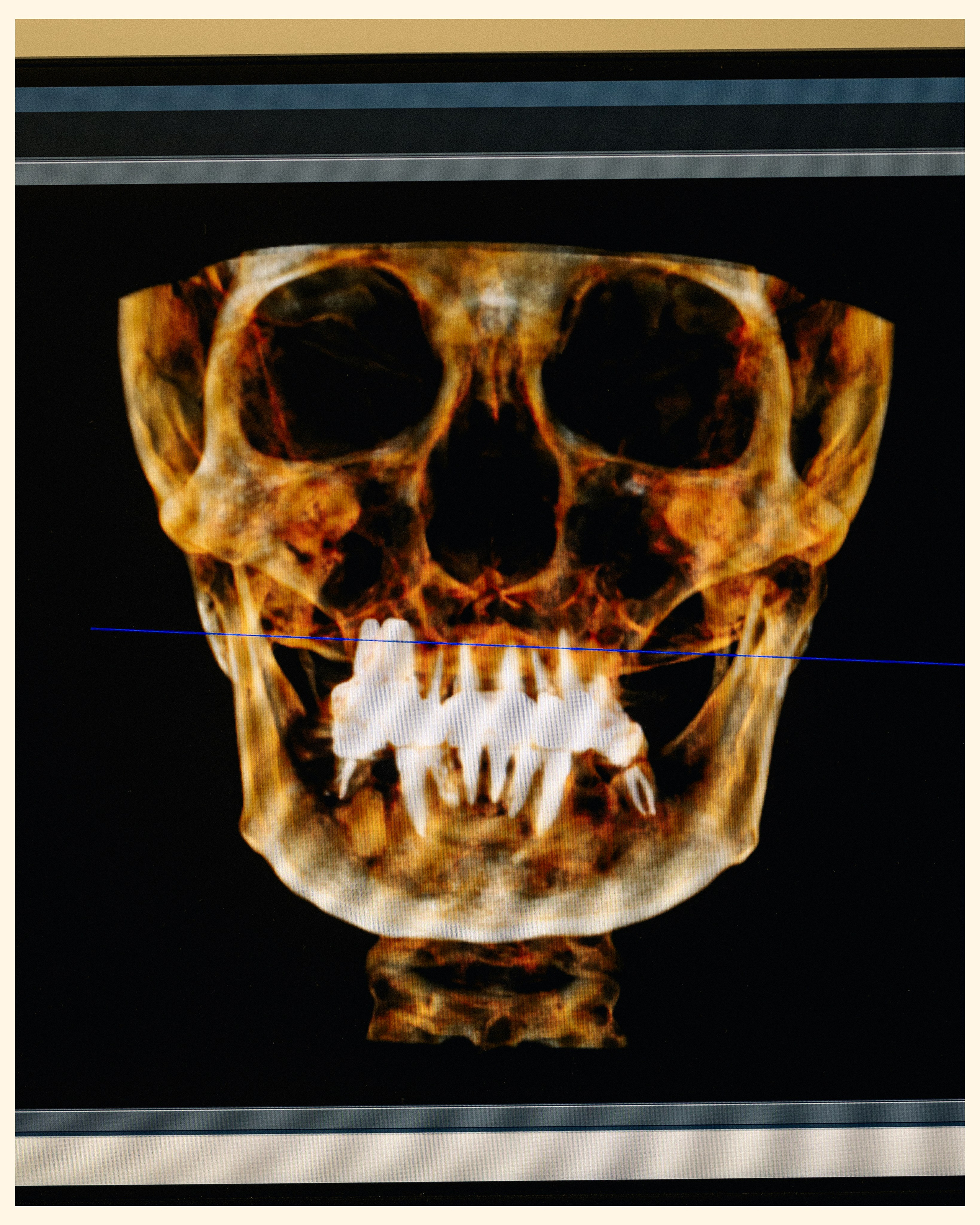 SPACE CLINIC X VANO. Ivan Petrov photographer