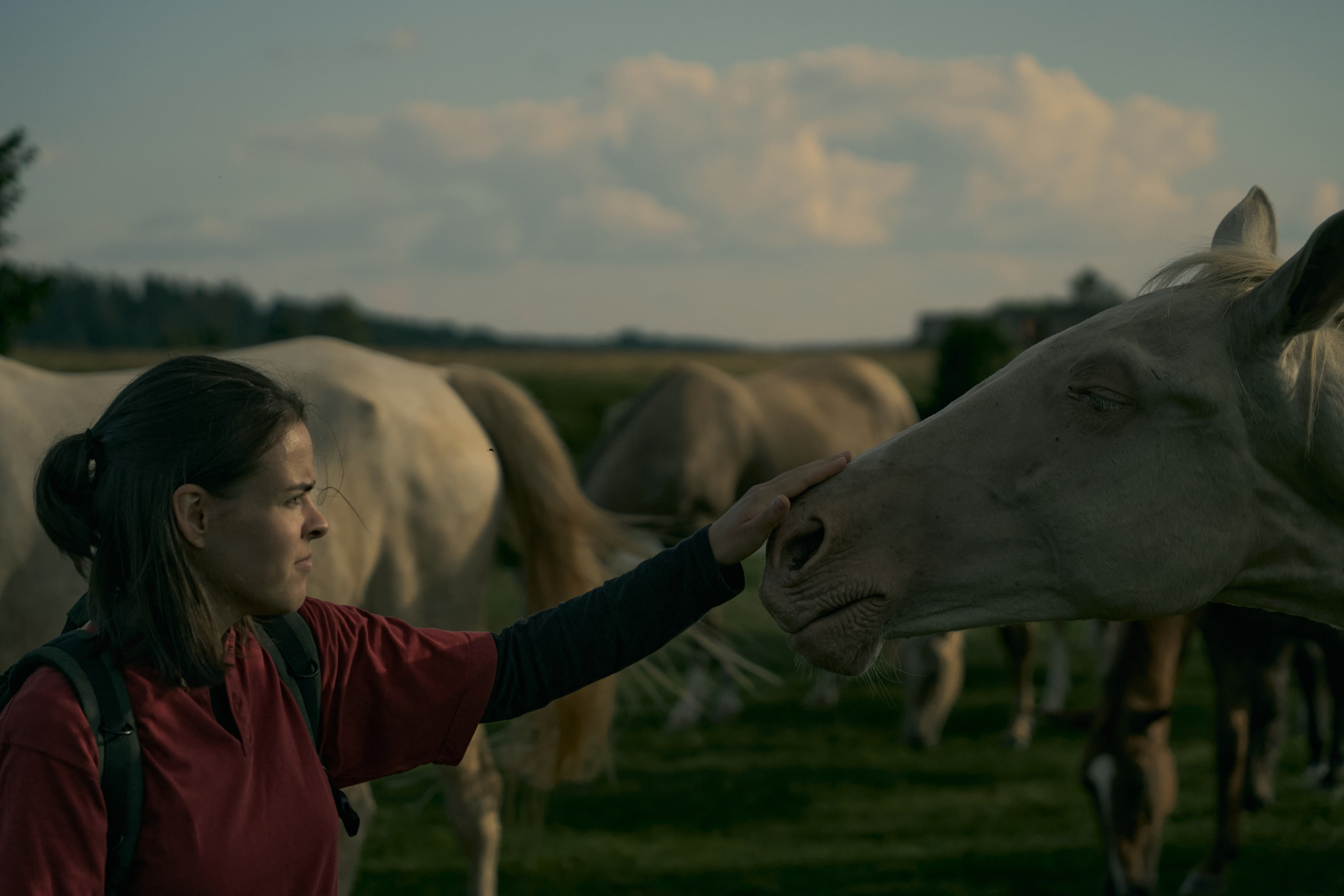 THE LAST OF US. Юля Ф