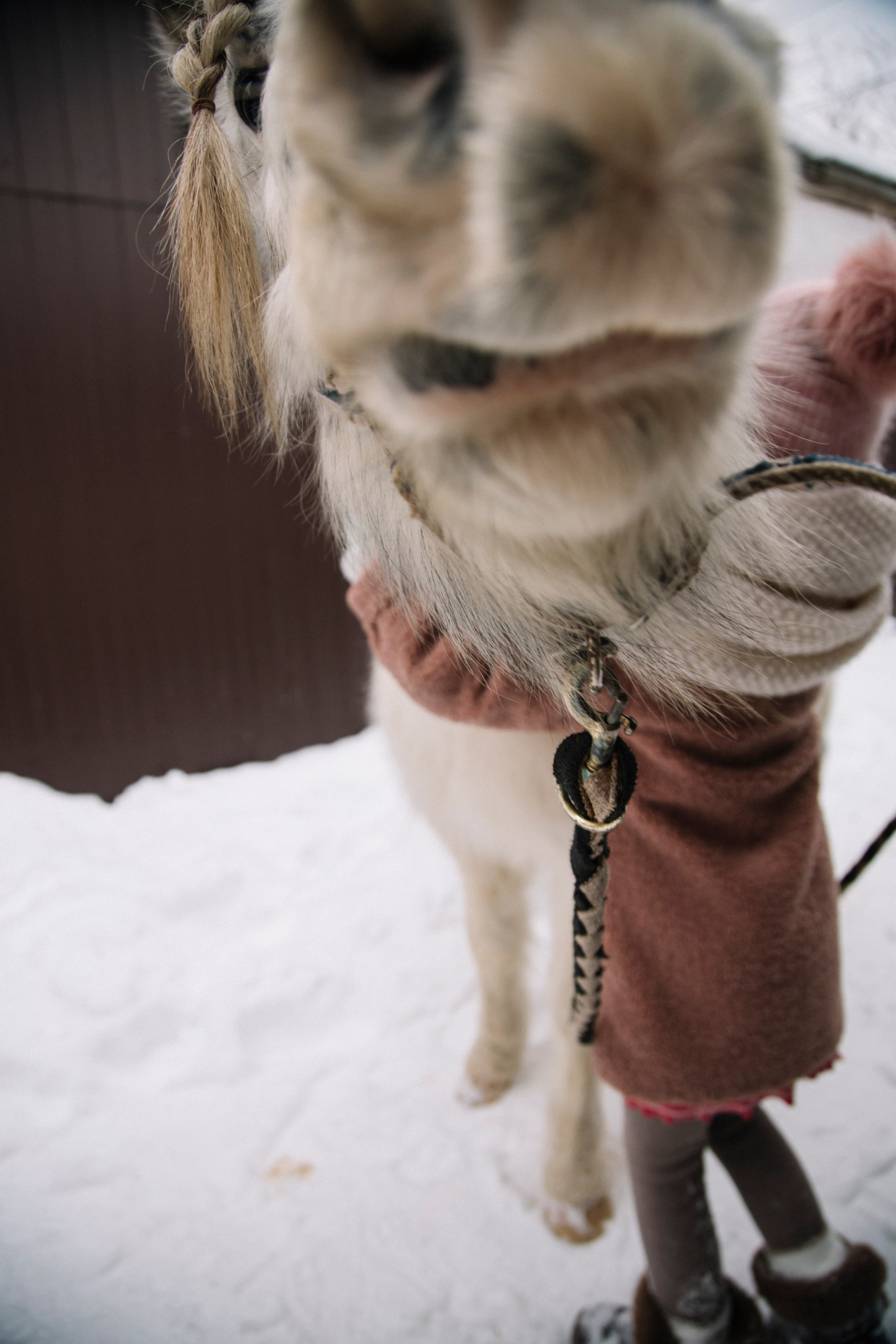 Семейные съемки. Фотограф и видеограф в Санкт-Петербурге Прохорова Надежда