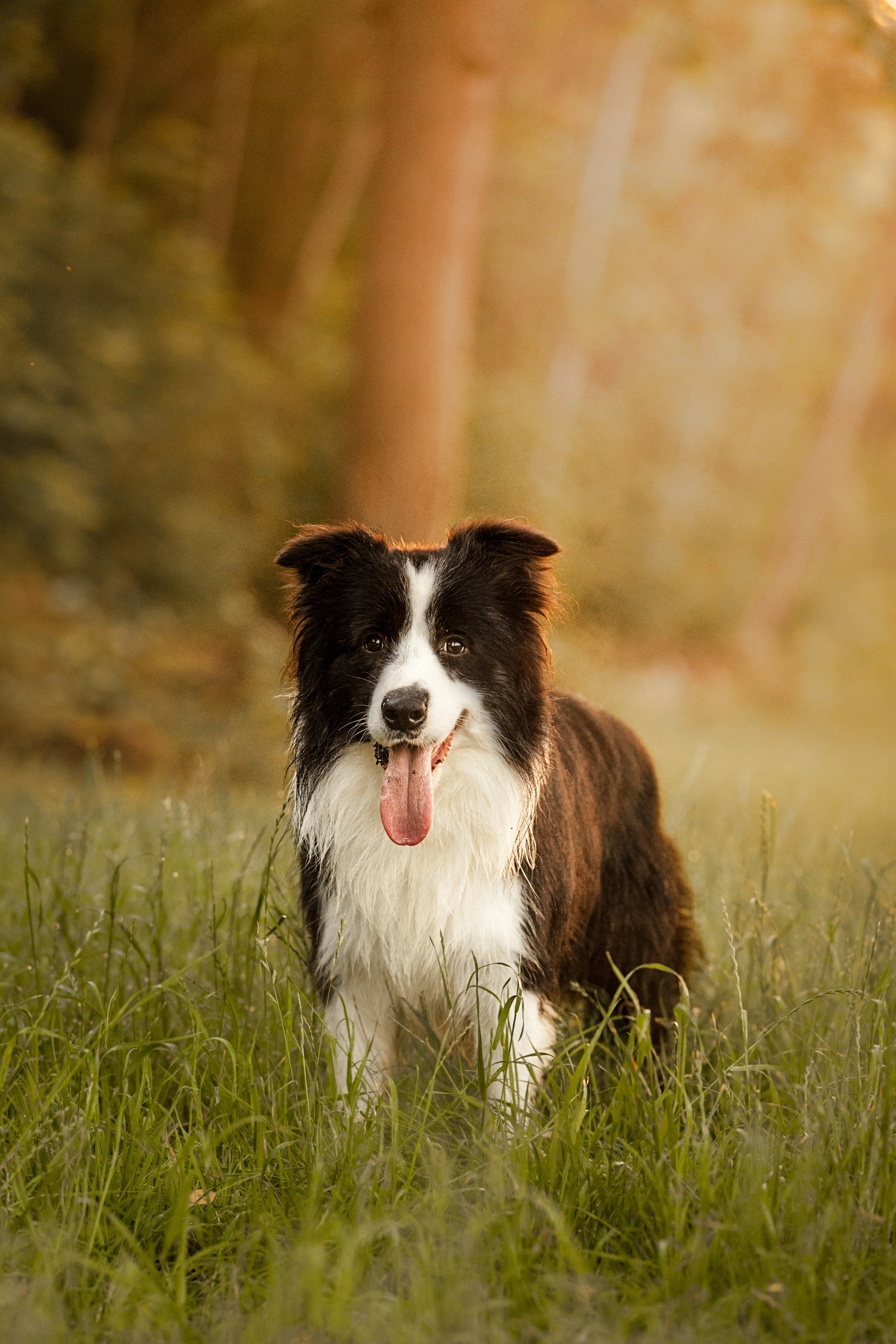 Сочный рассвет, на который решились. О нас