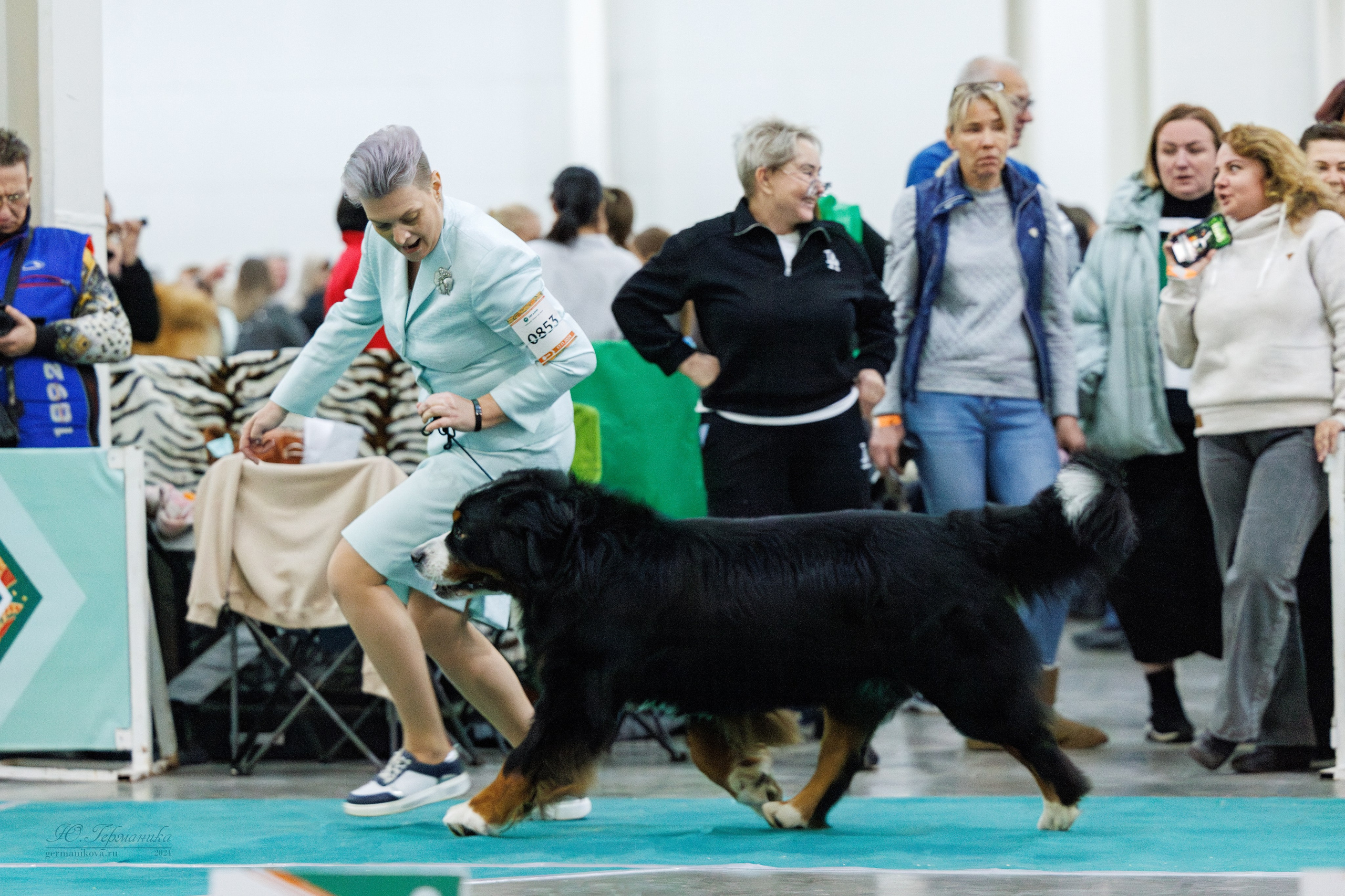 Евразия 16-17.11.2024. Фотограф-анималист Юлия Германика