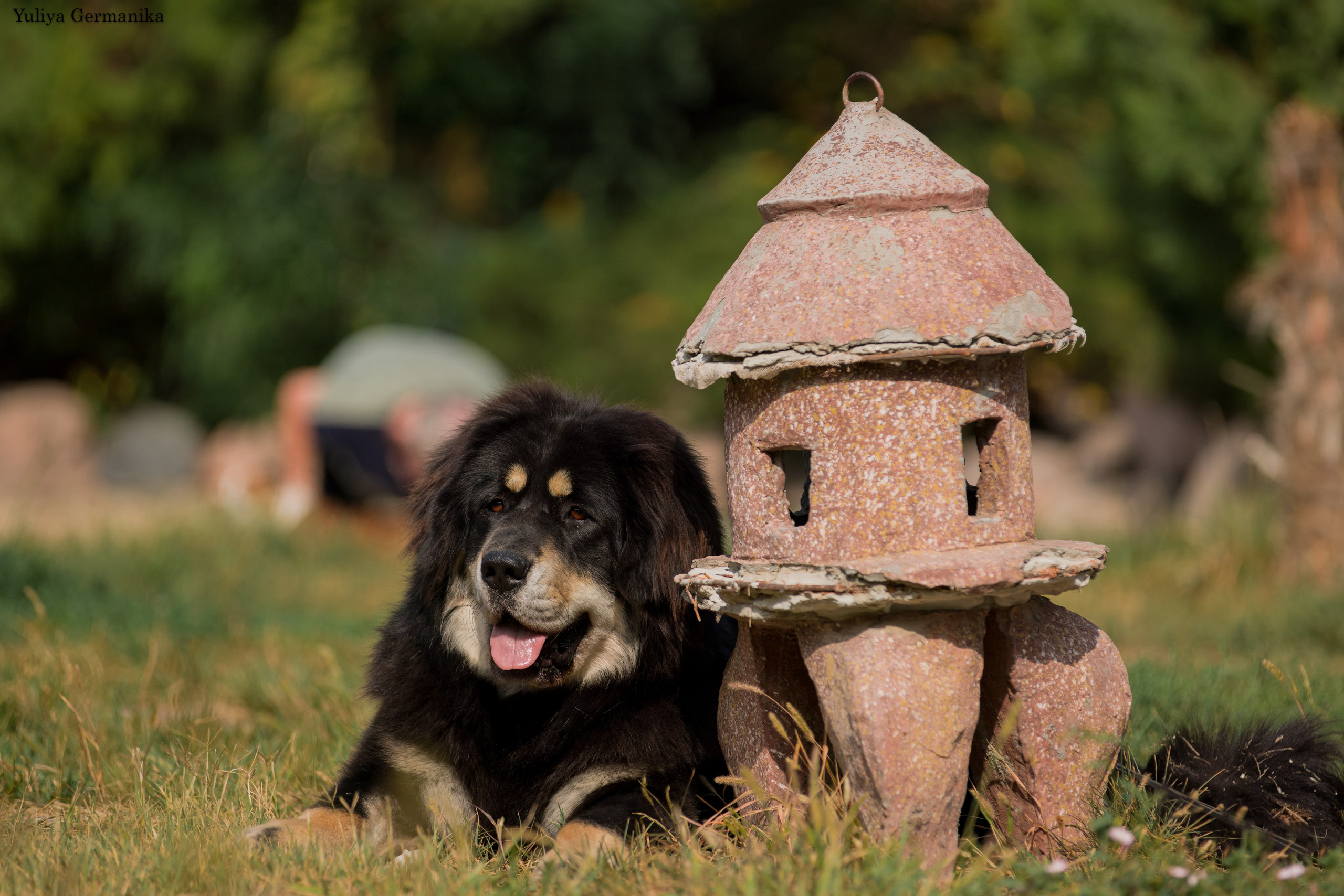 Ташкент 6-8.10.2023 + Алматы 14-15.10.2023. Фотограф-анималист Юлия Германика