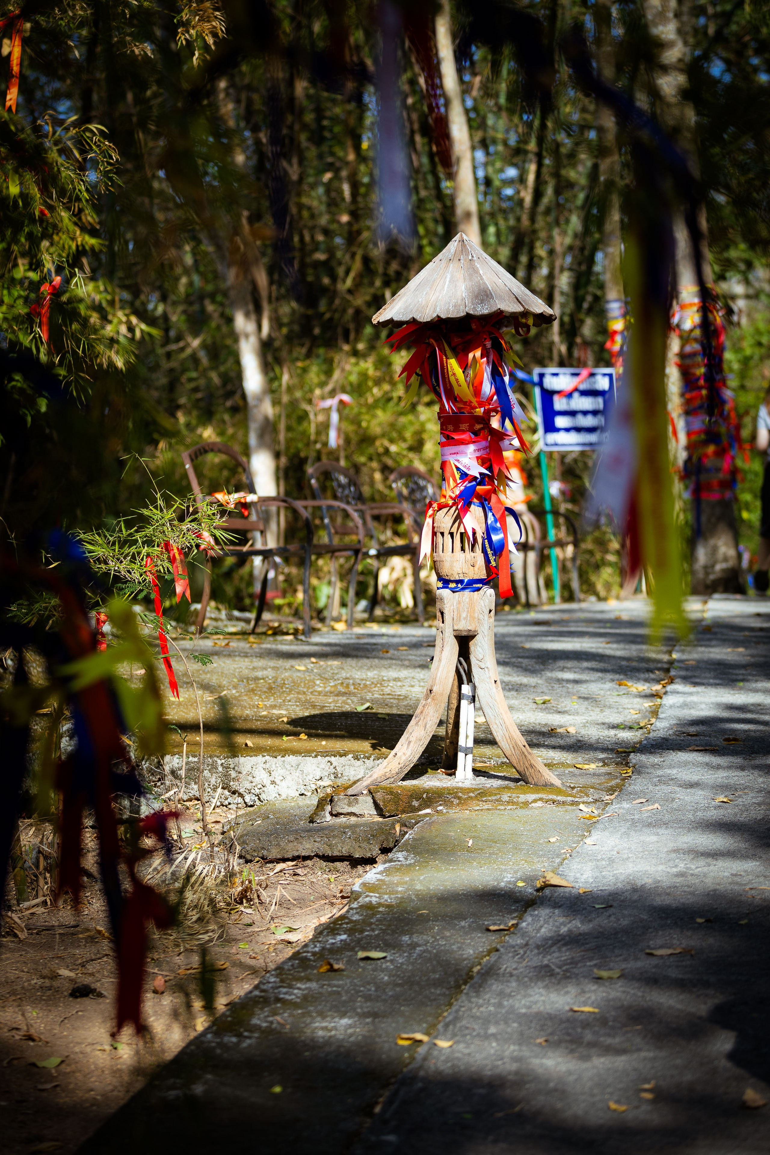 Таиланд (зима 2025). Фотограф Виноградов Константин