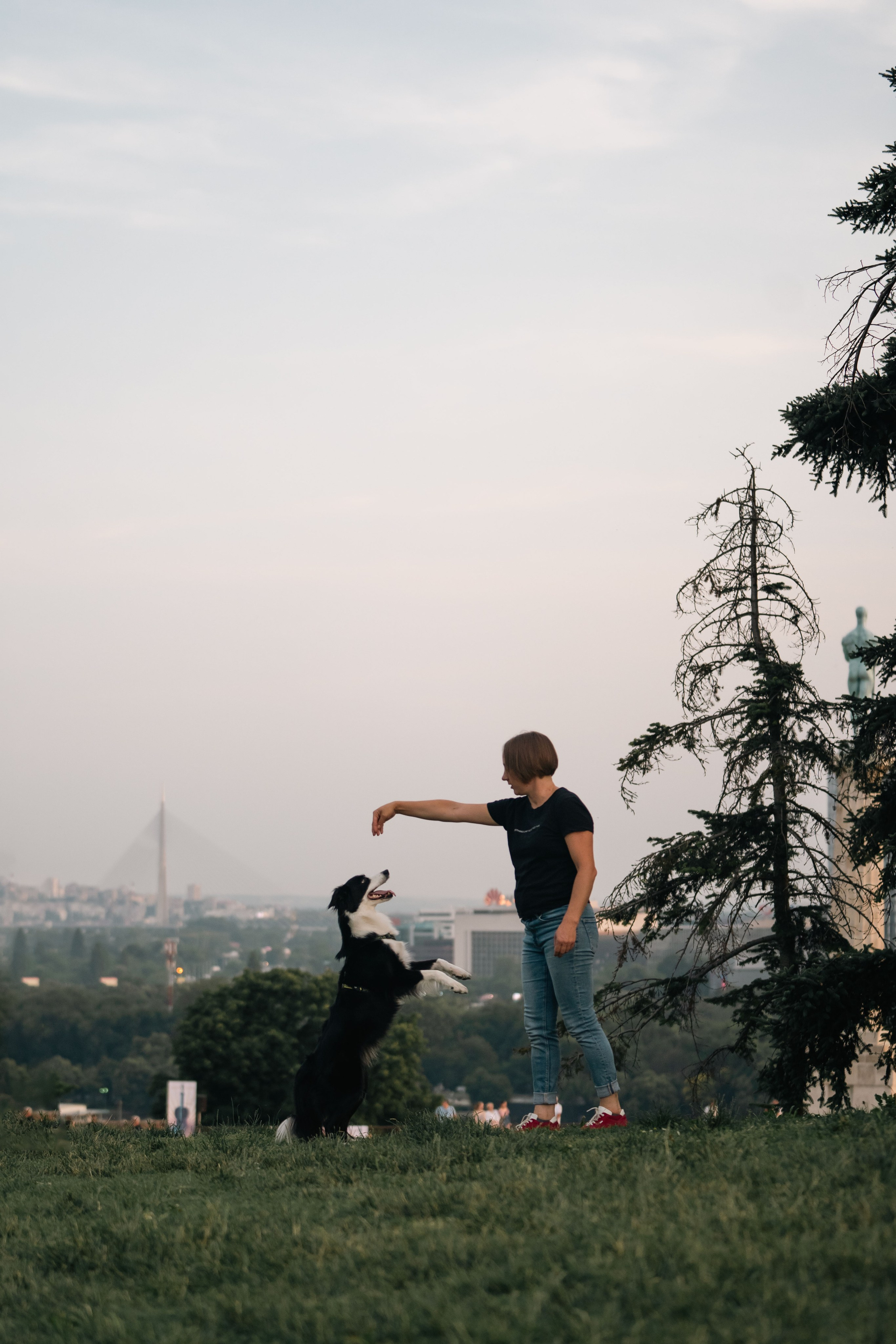Белград, Калемегдан. Таня и Шегги. Фотограф анималист