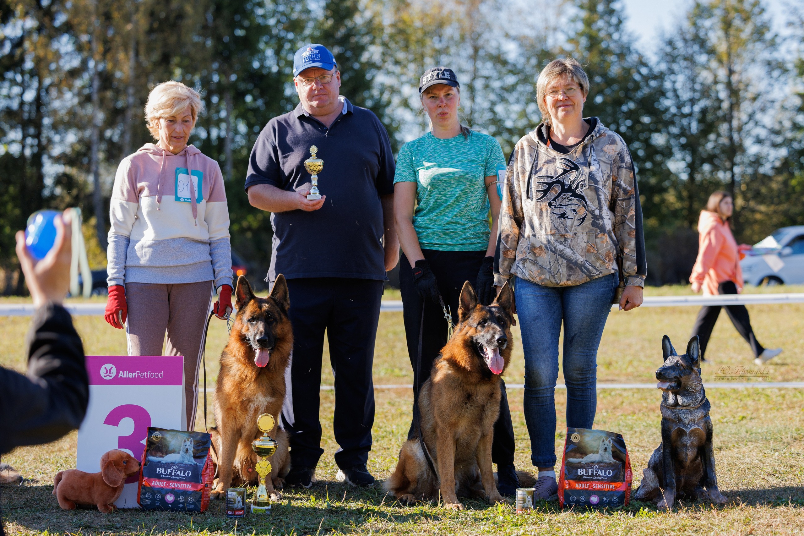 Тверь немецкие овчарки 22.09.2024. Фотограф-анималист Юлия Германика