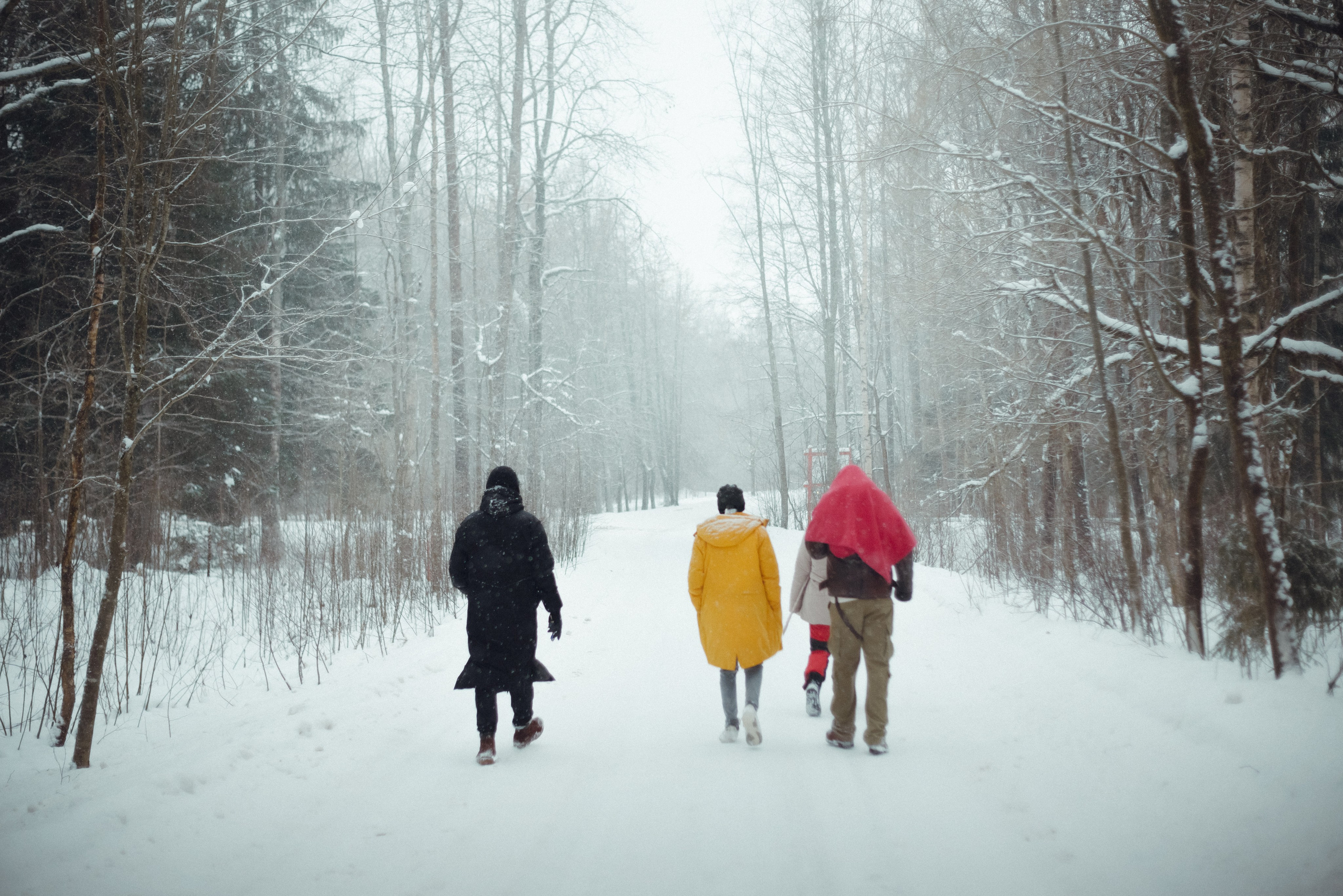 Film. Платонов Олег — фотограф Санкт-Петербург