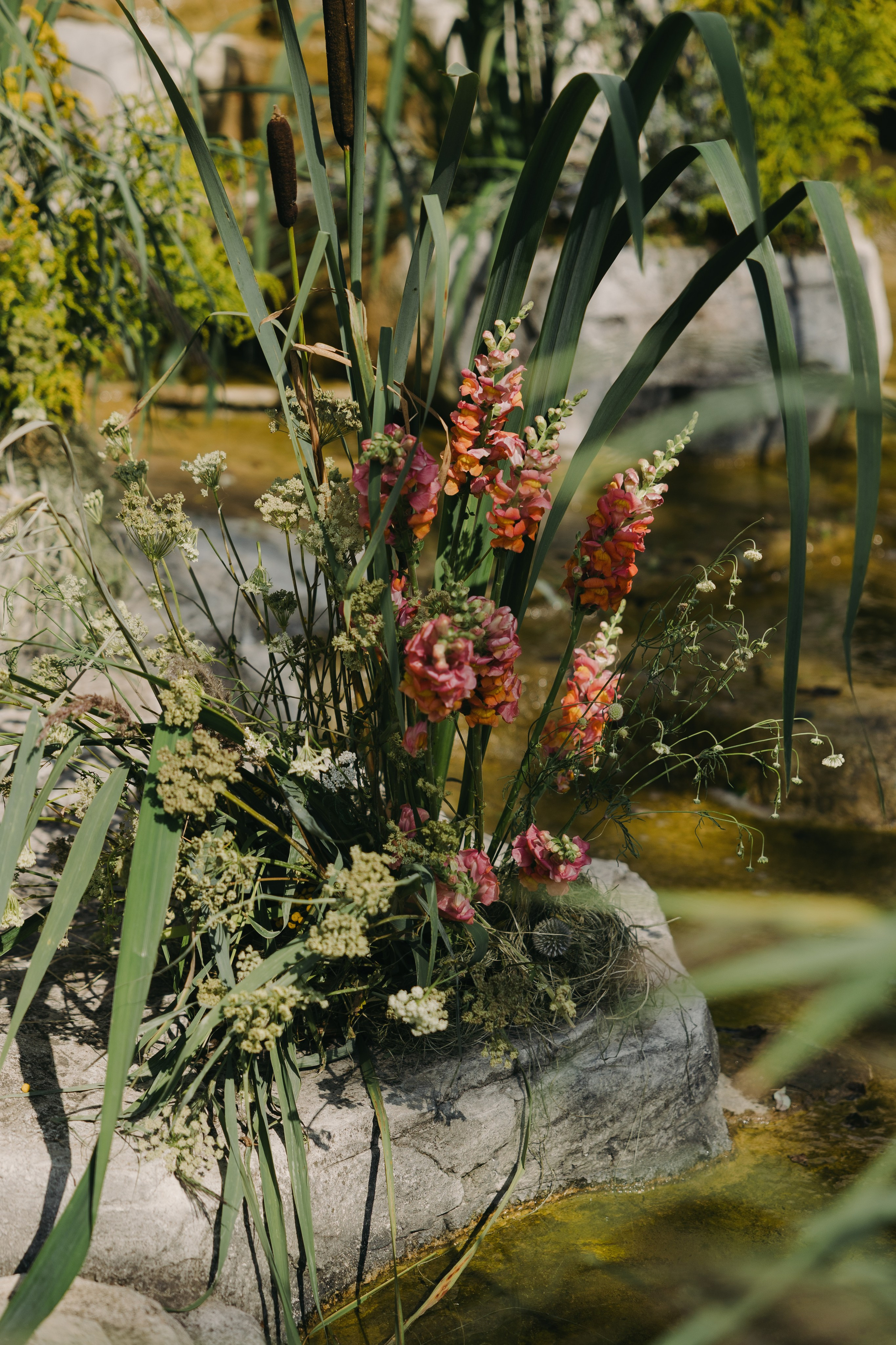 Даниил & Мария. Оформление свадеб, декор свадеб Вера Маркова, Москва