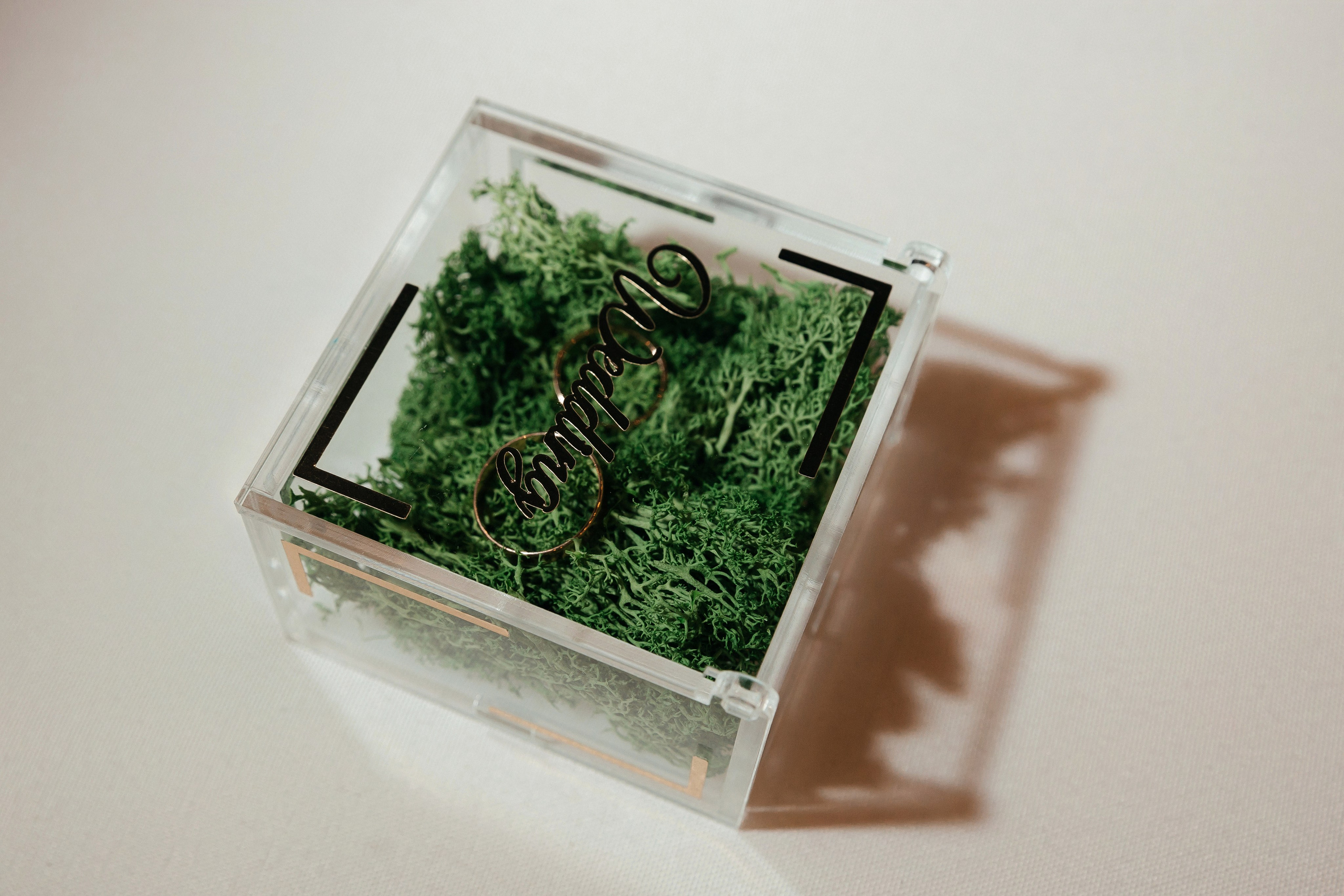 Дмитрий и Алина. Свадебный и семейный фотограф в Вологде Наталия Краснова