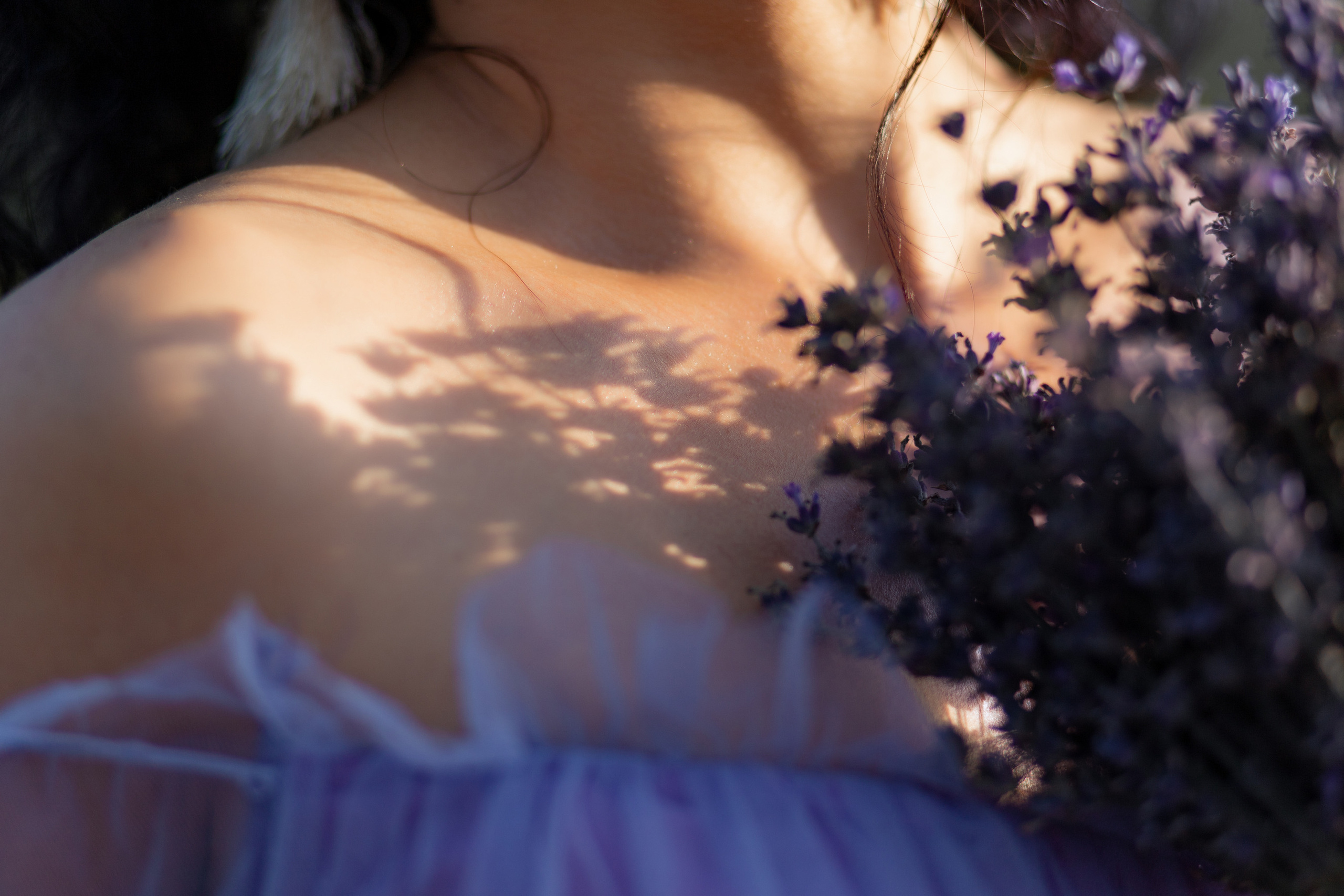 На лавандовой ферме. Фотограф Белгород