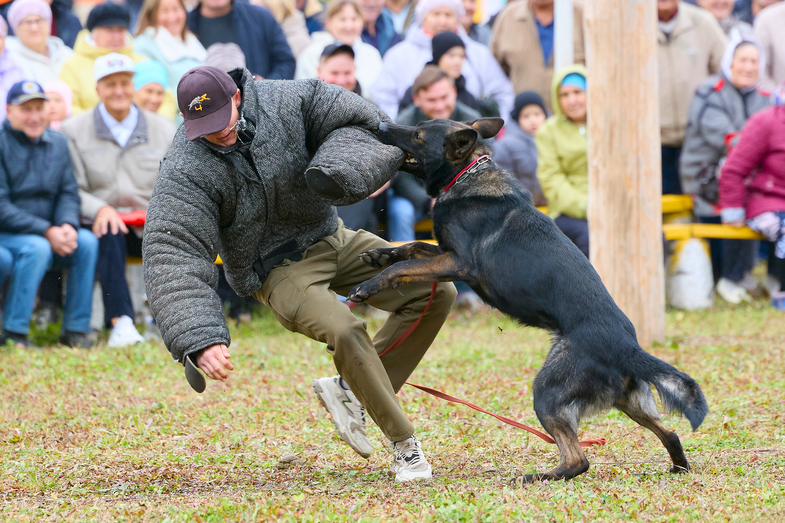 РЕПОРТАЖ. Главная