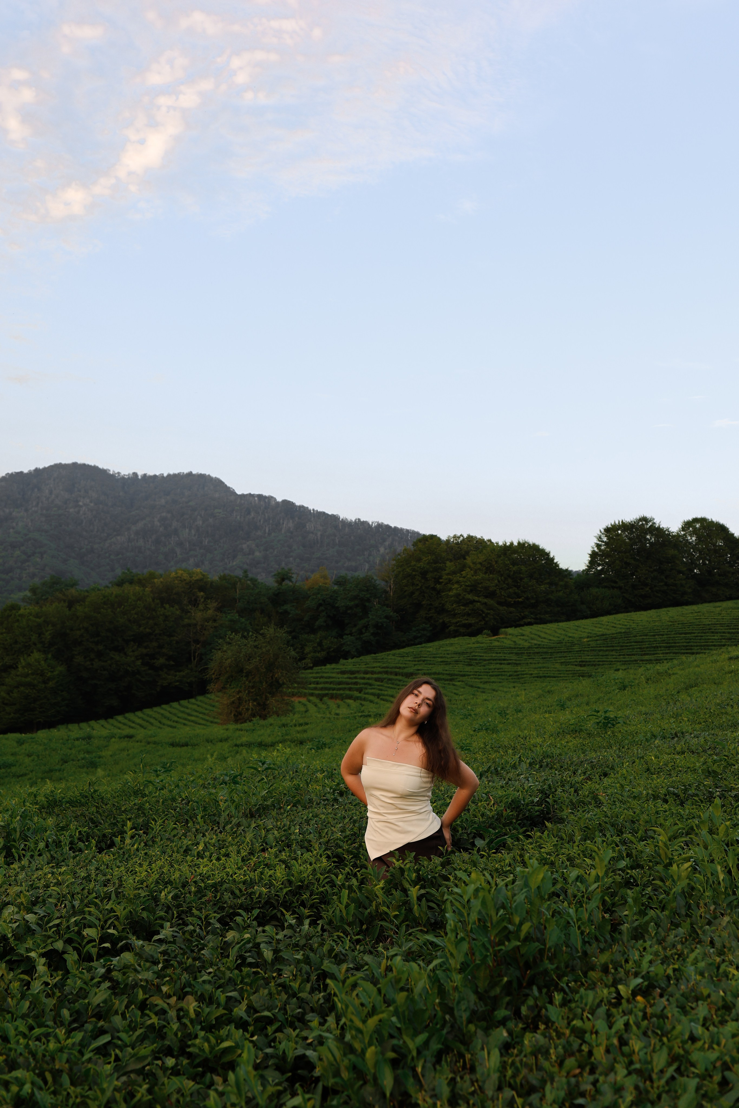 ЧАЙНЫЕ ПЛАНТАЦИИ. Фотограф Москва Оля Олбимак