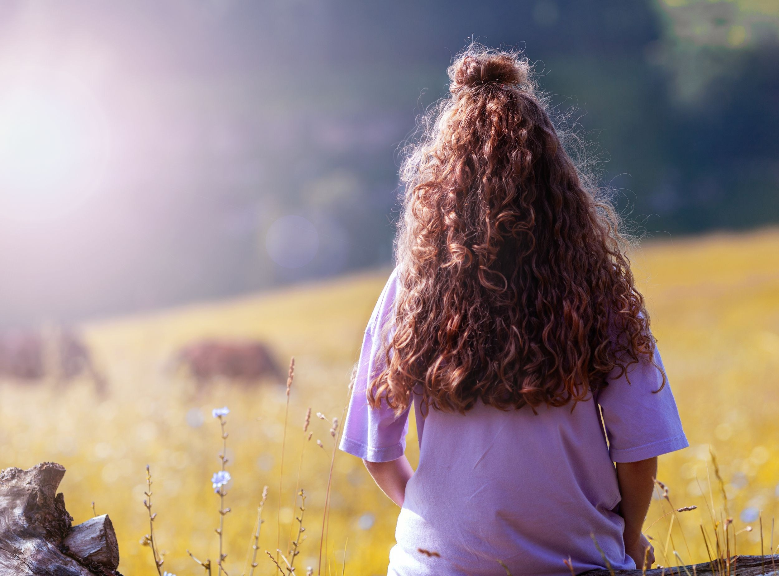 Велопутешествие на смотровую площадку в г. Кисловодск. Медиапродюсер, фотограф в Минеральных Водах —Виктор Холодов