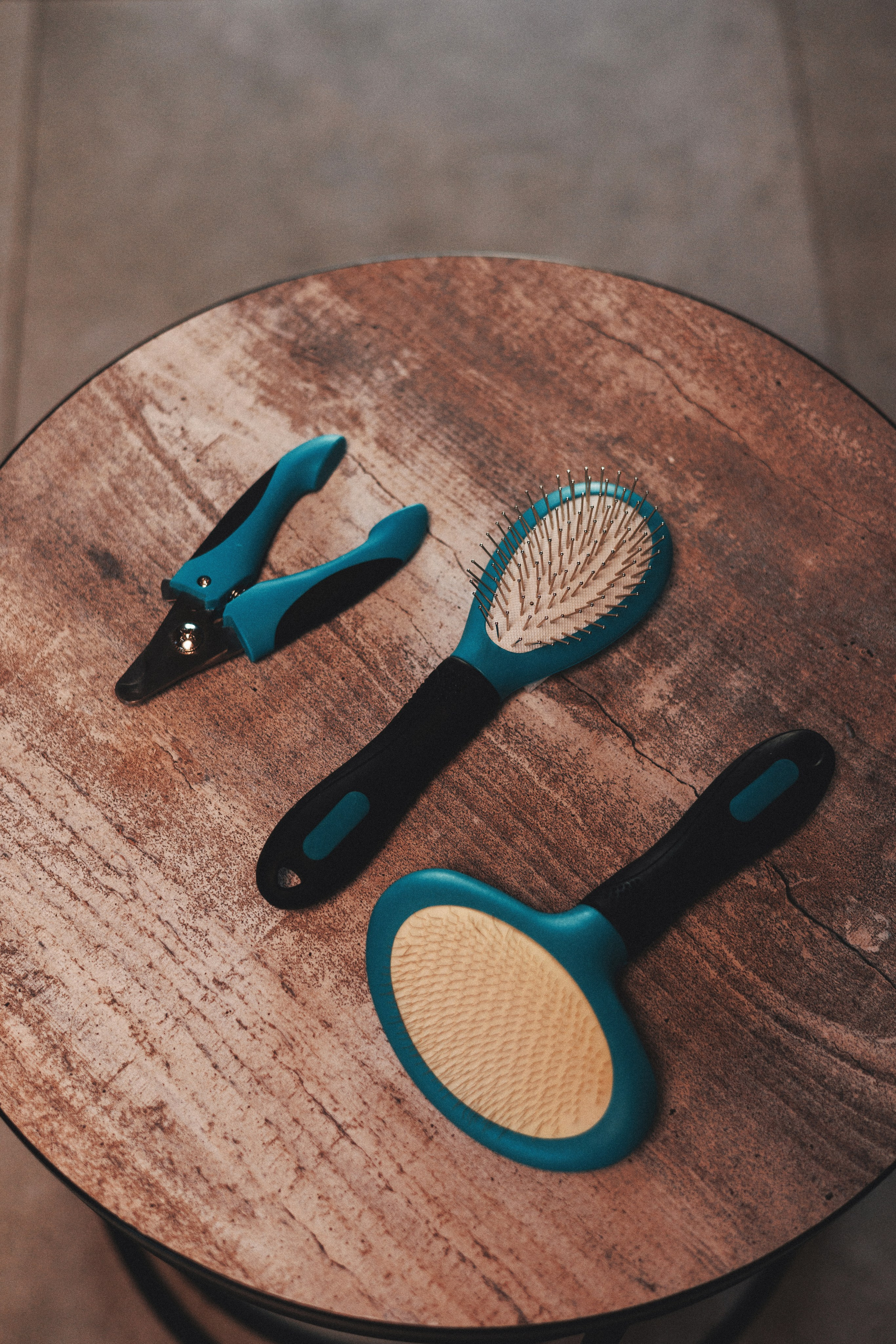 M-Pets. Фотограф анималист Осипчикова Мария