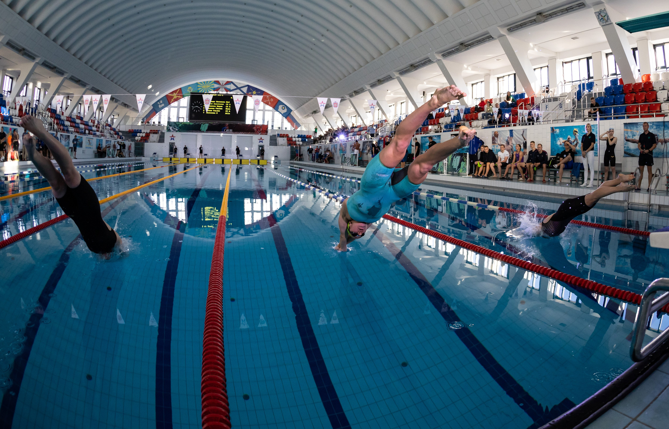Плавание. Евгений Солодов спортивный фотограф