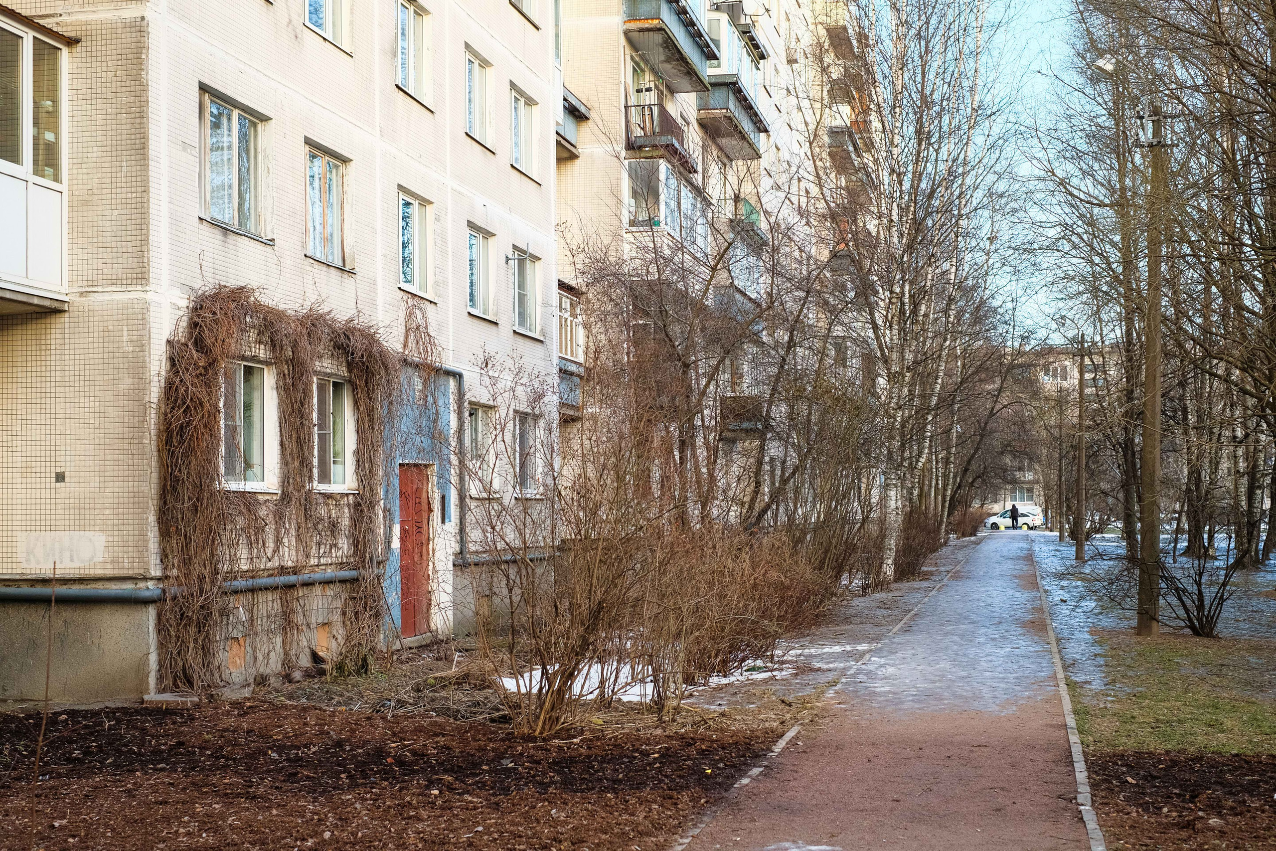 2023.01. Фотограф Алексей Алексеев