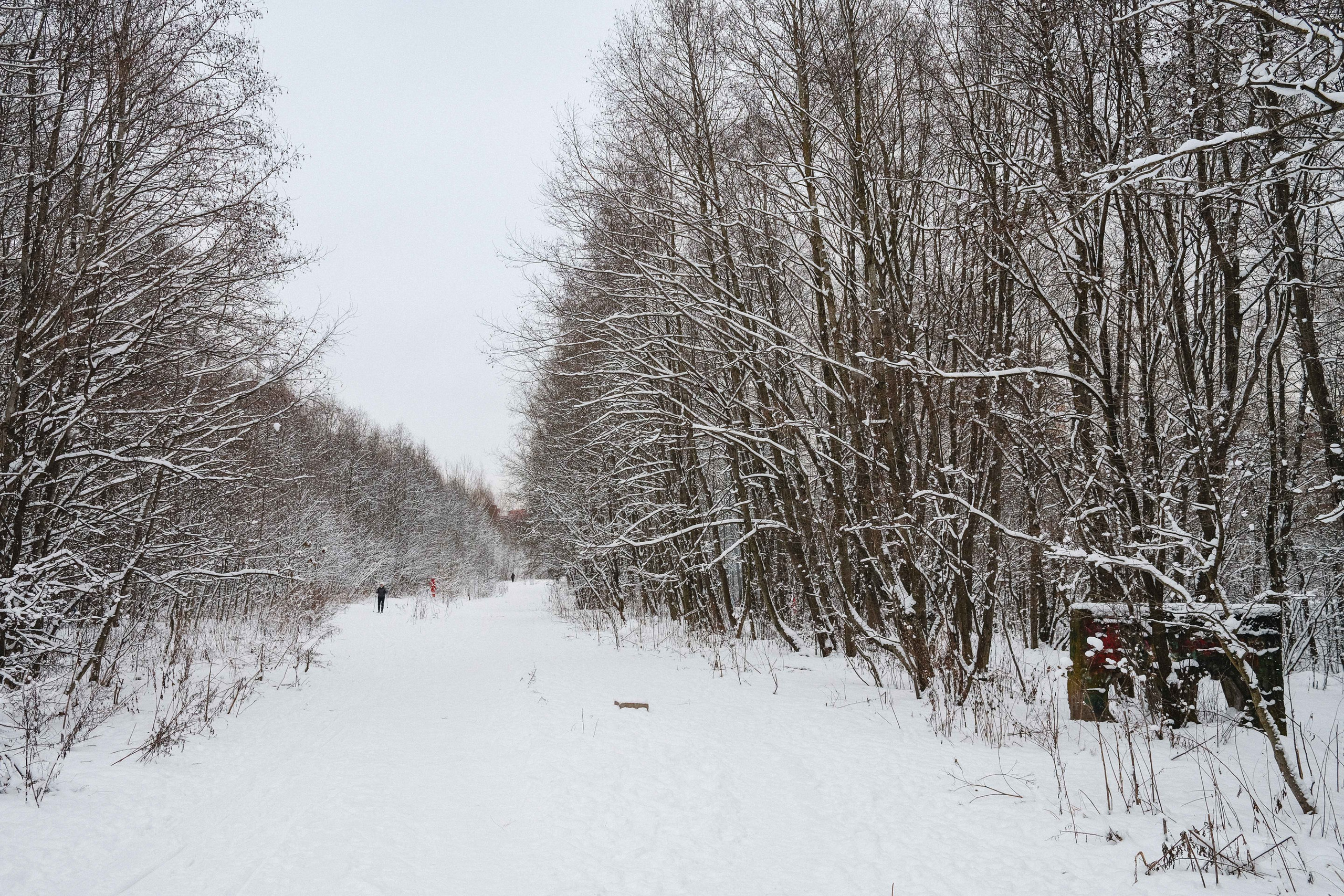 2023.01. Фотограф Алексей Алексеев