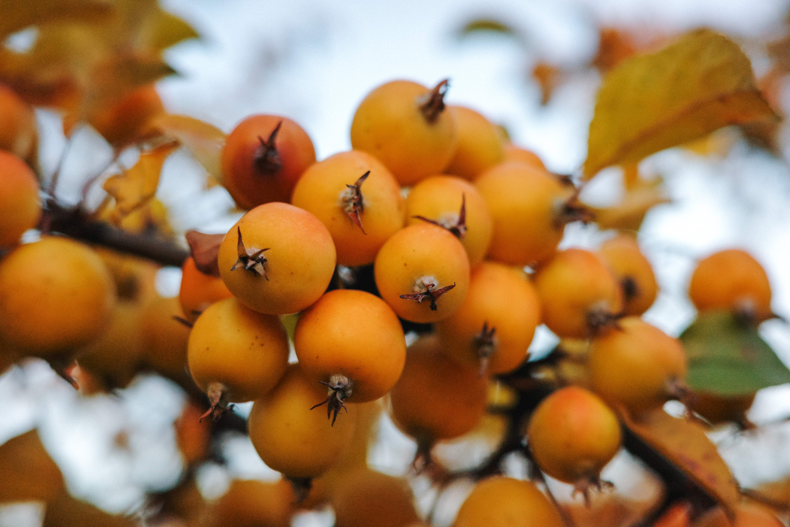 2024.10. Фотограф Алексей Алексеев